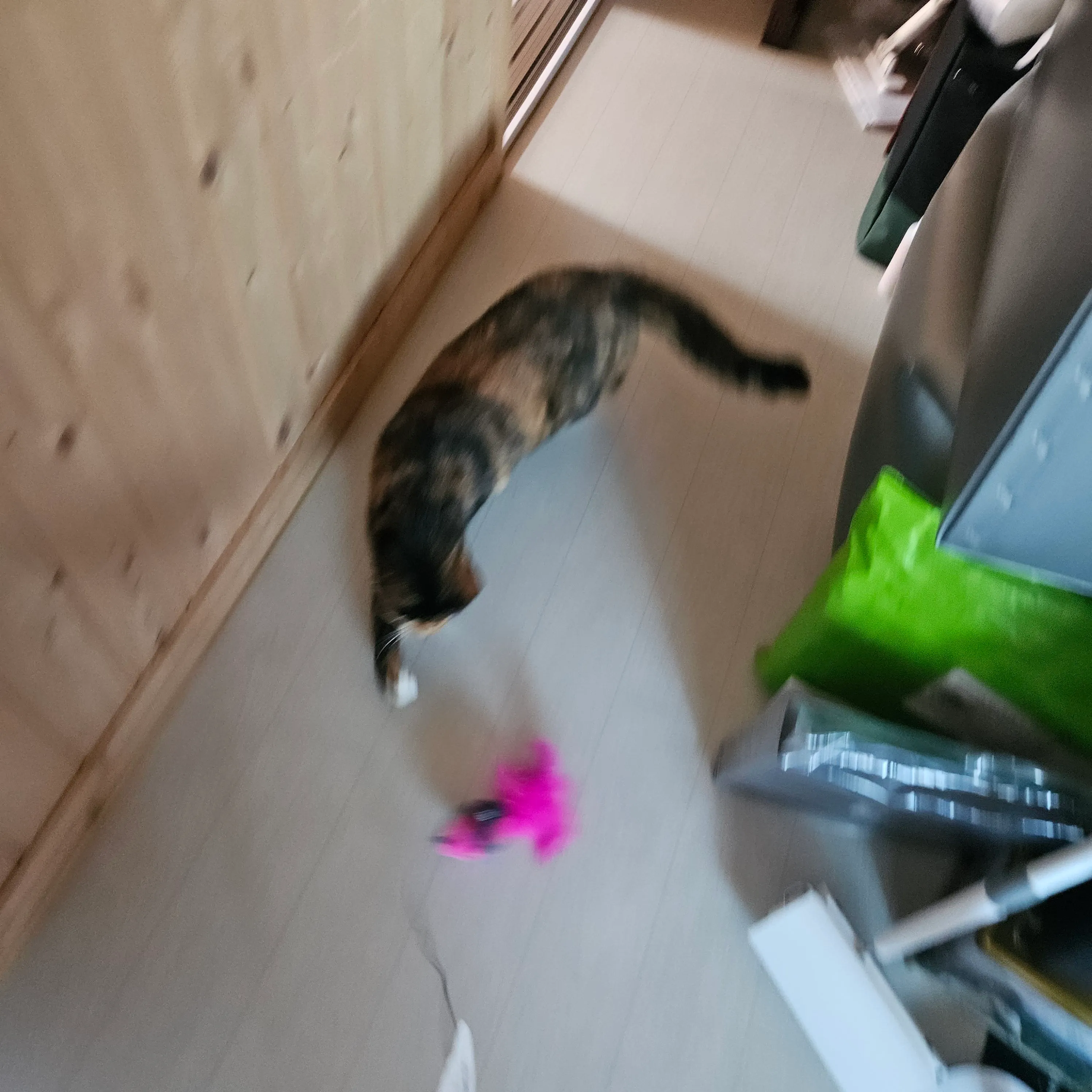 베스트 후기 이미지