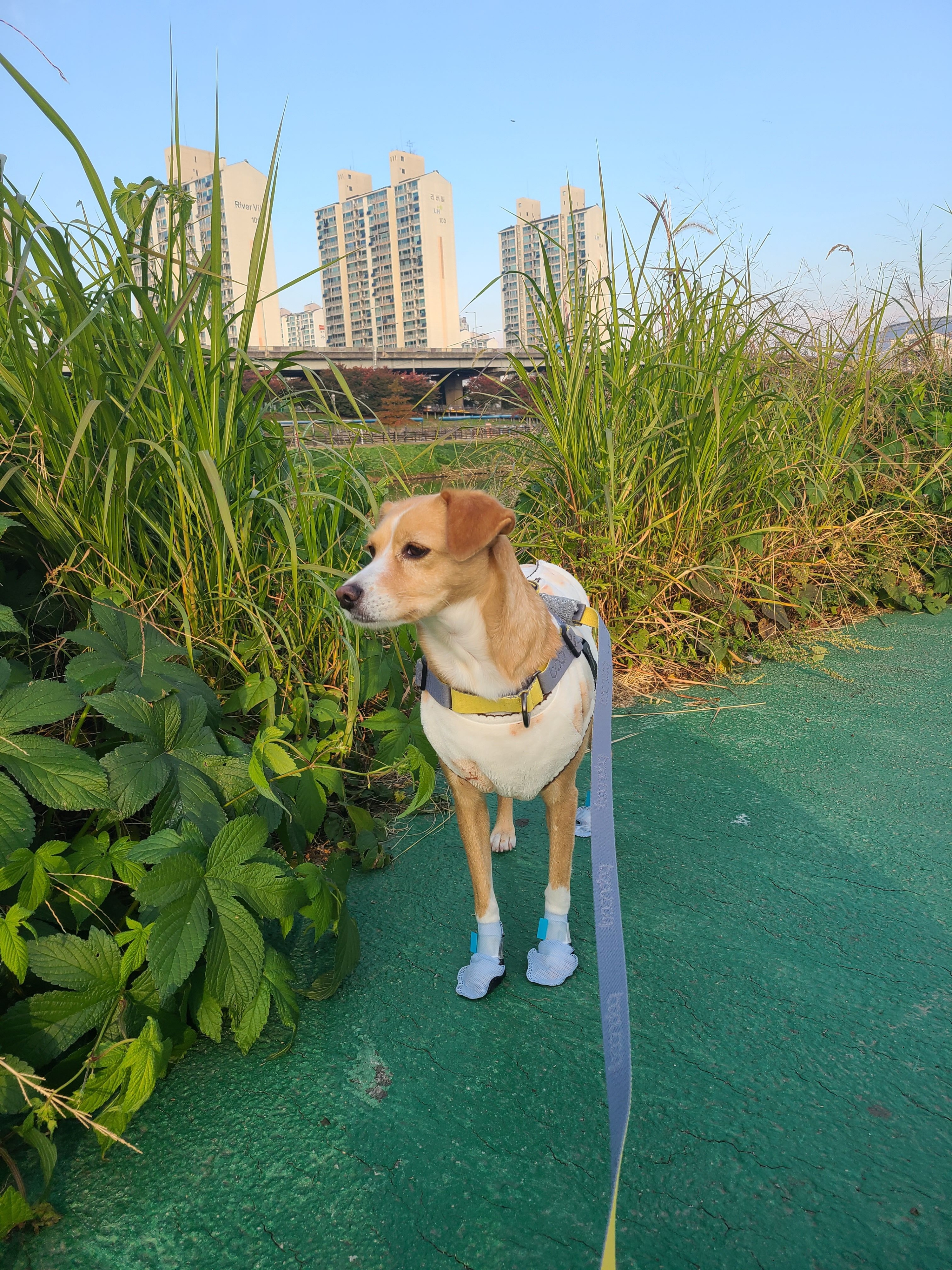 베스트 후기 이미지