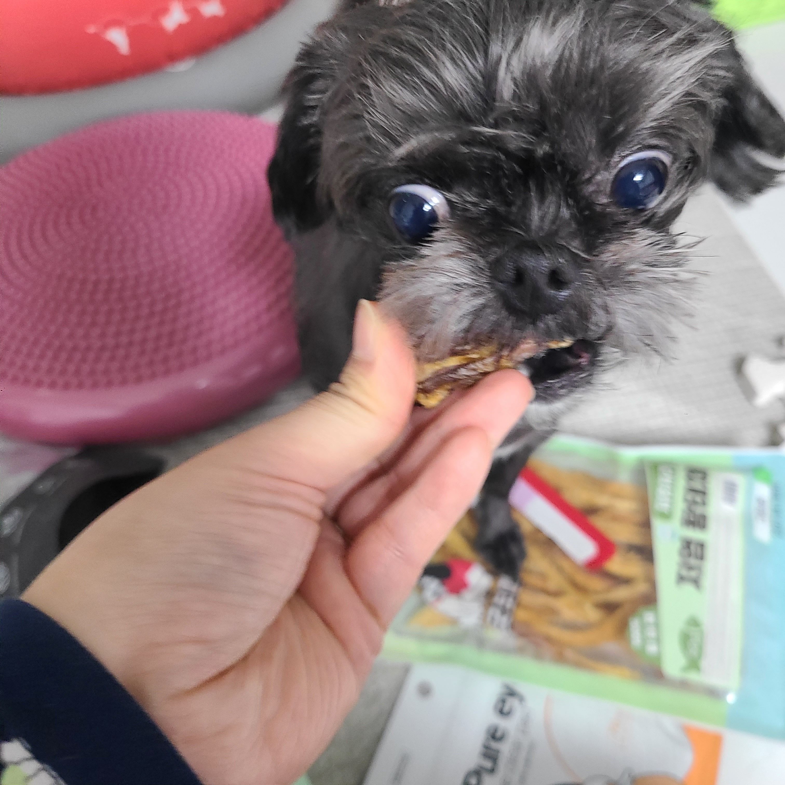 베스트 후기 이미지