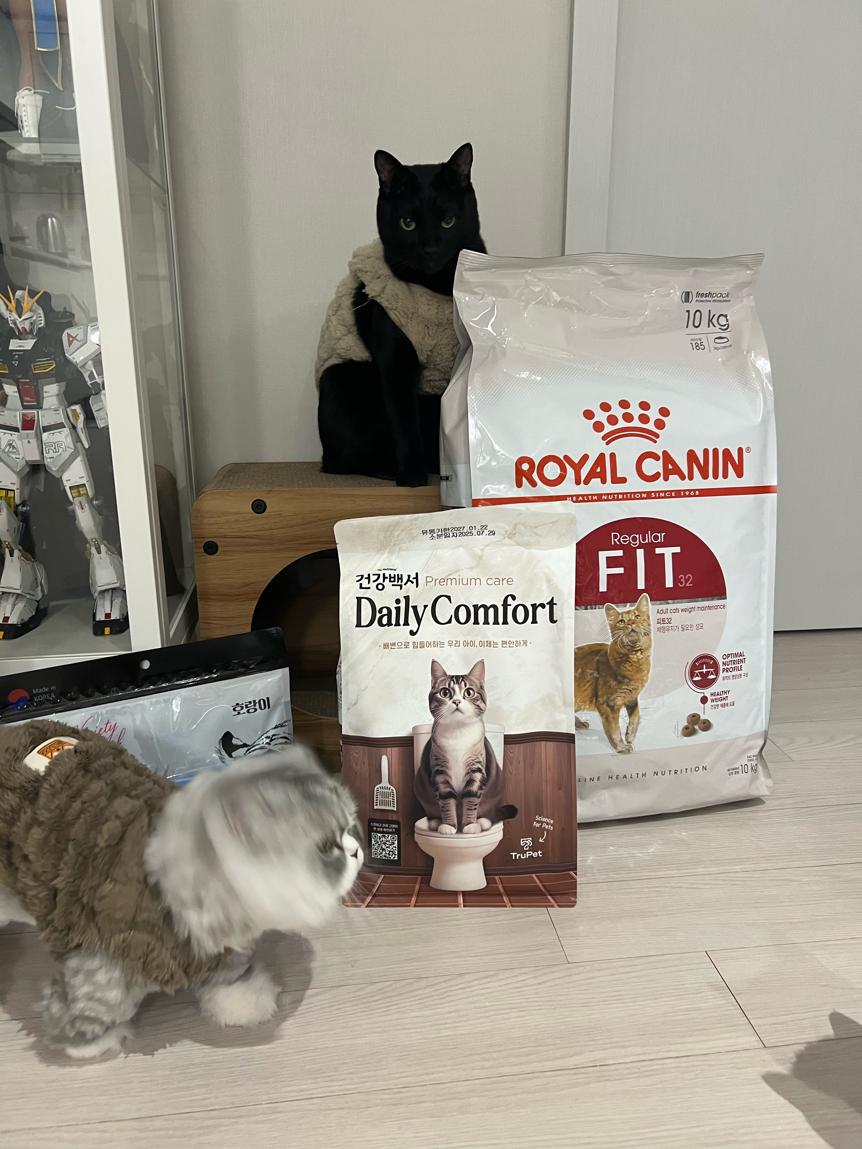 베스트 후기 이미지