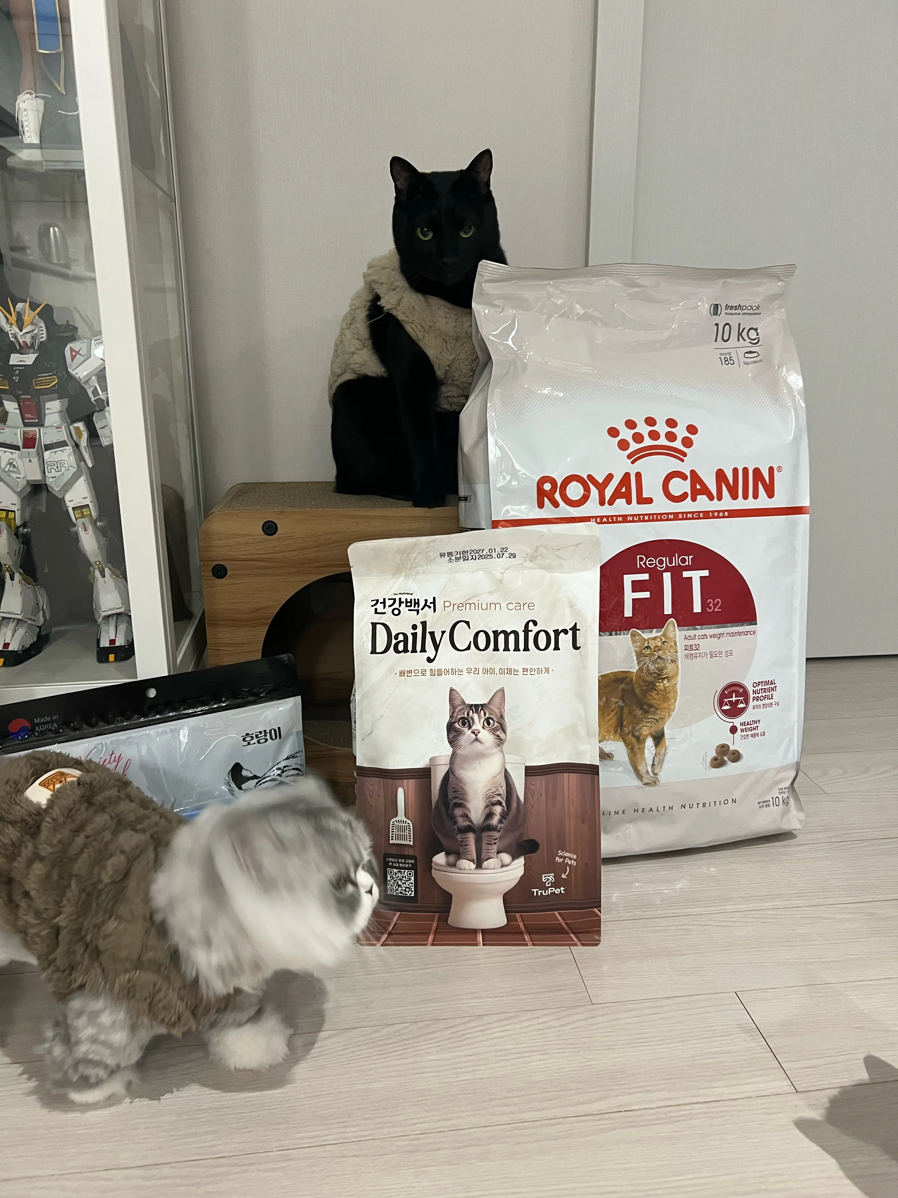 베스트 후기 이미지