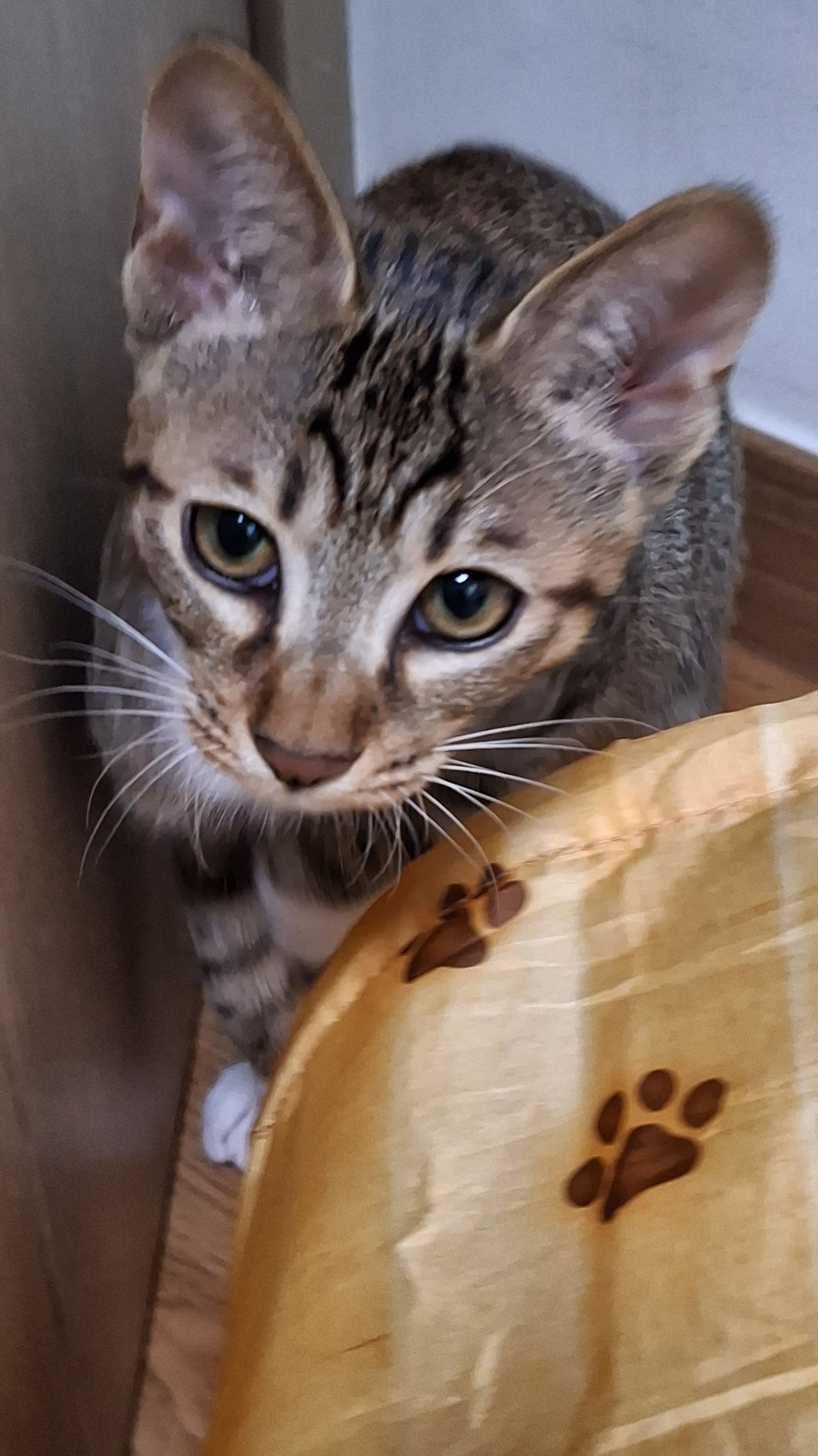 베스트 후기 이미지