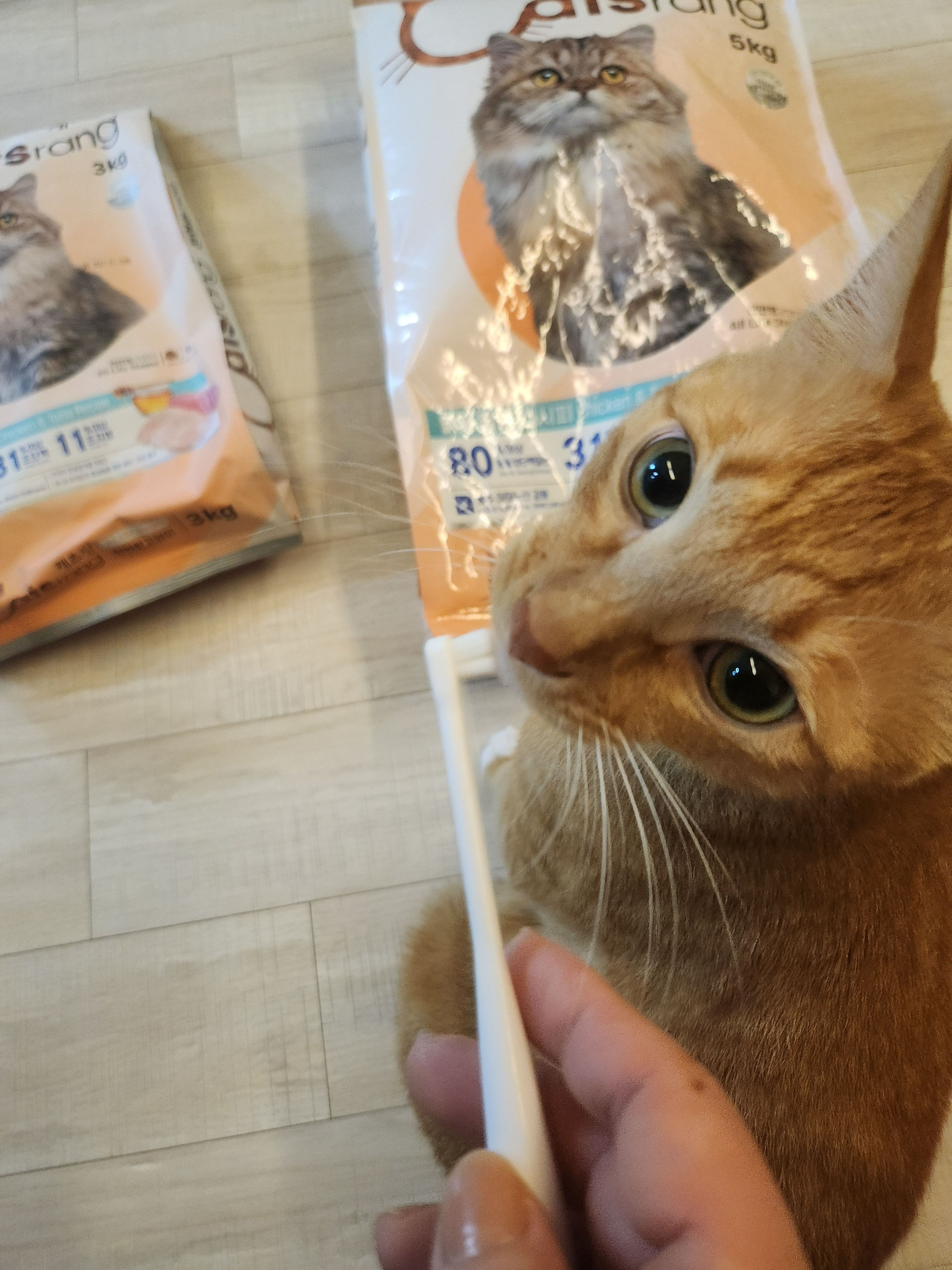 베스트 후기 이미지