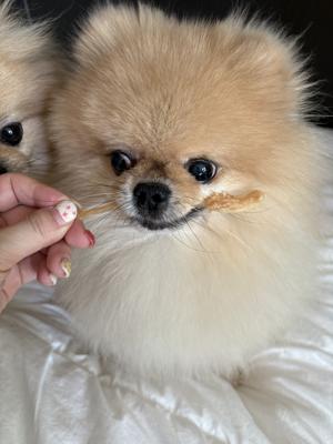 베스트 후기 이미지