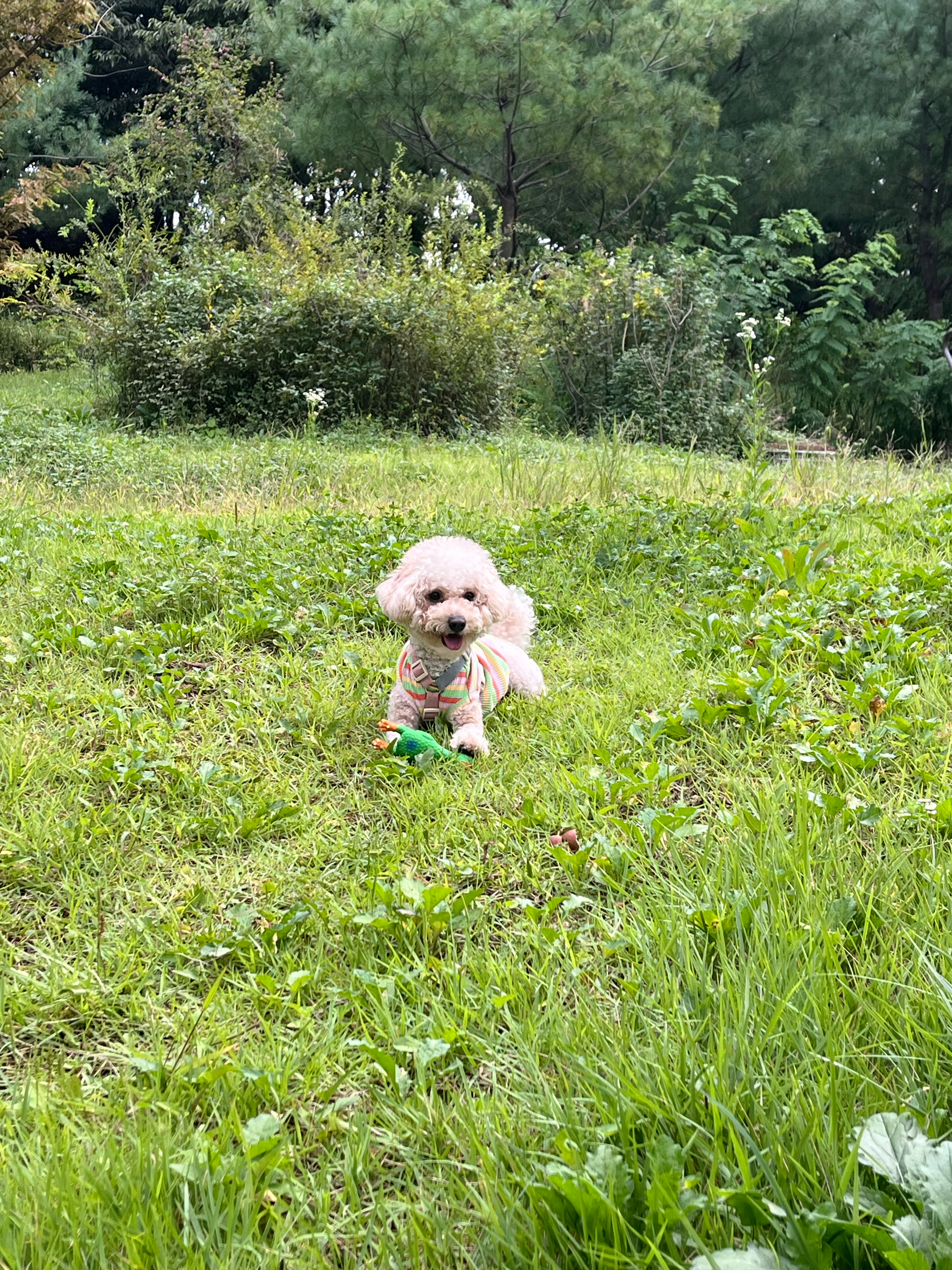 베스트 후기 이미지