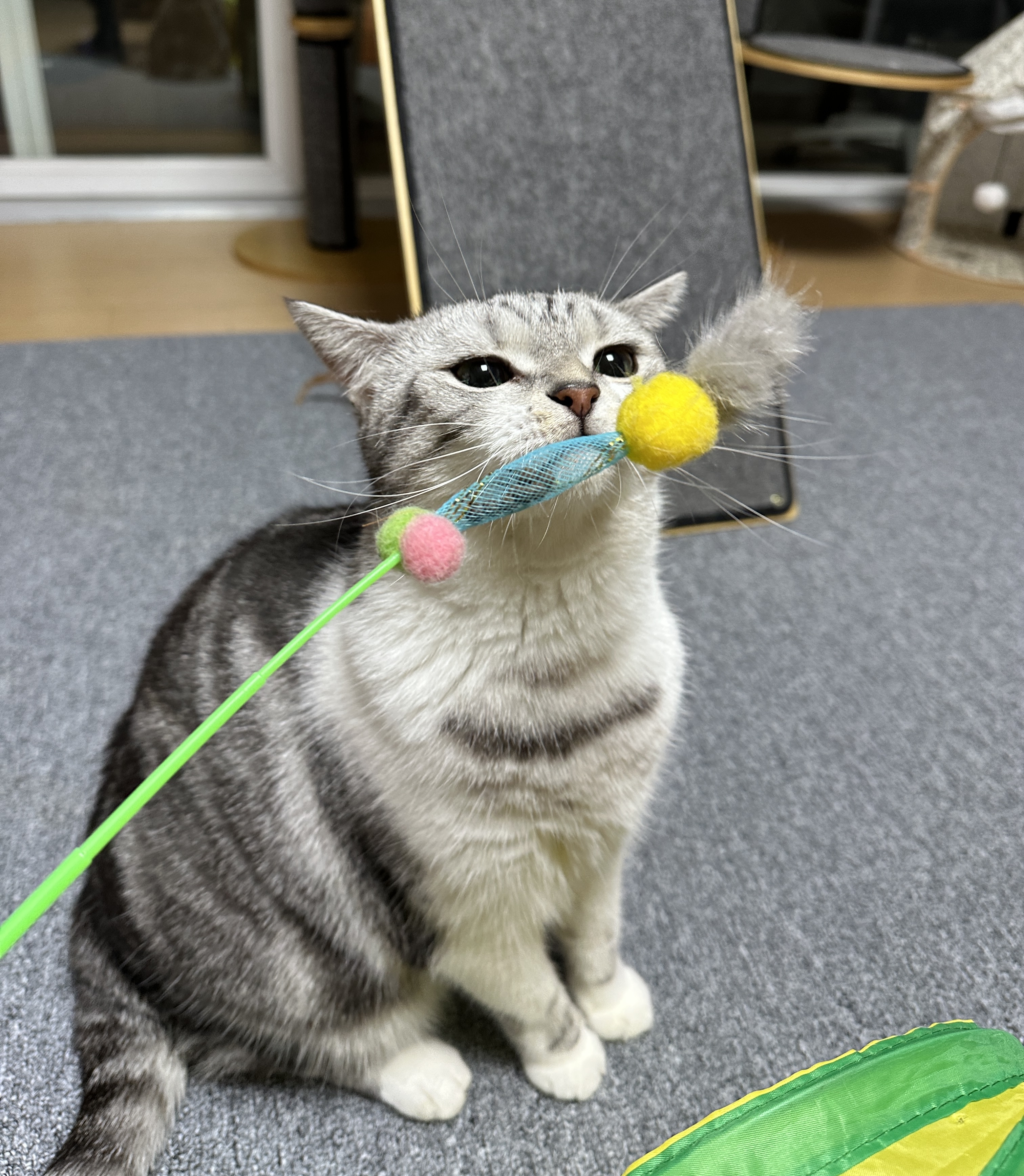 베스트 후기 이미지