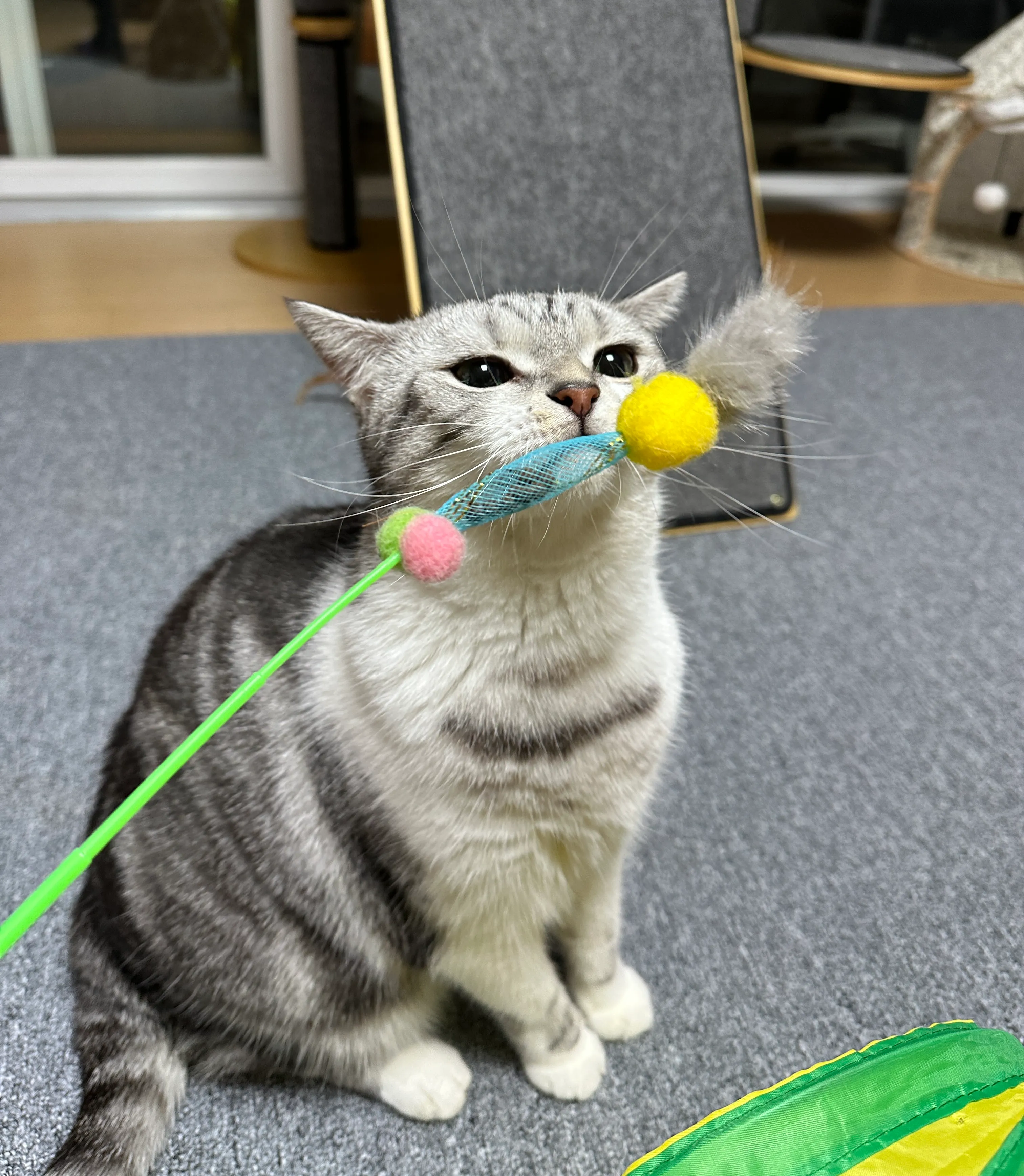 베스트 후기 이미지