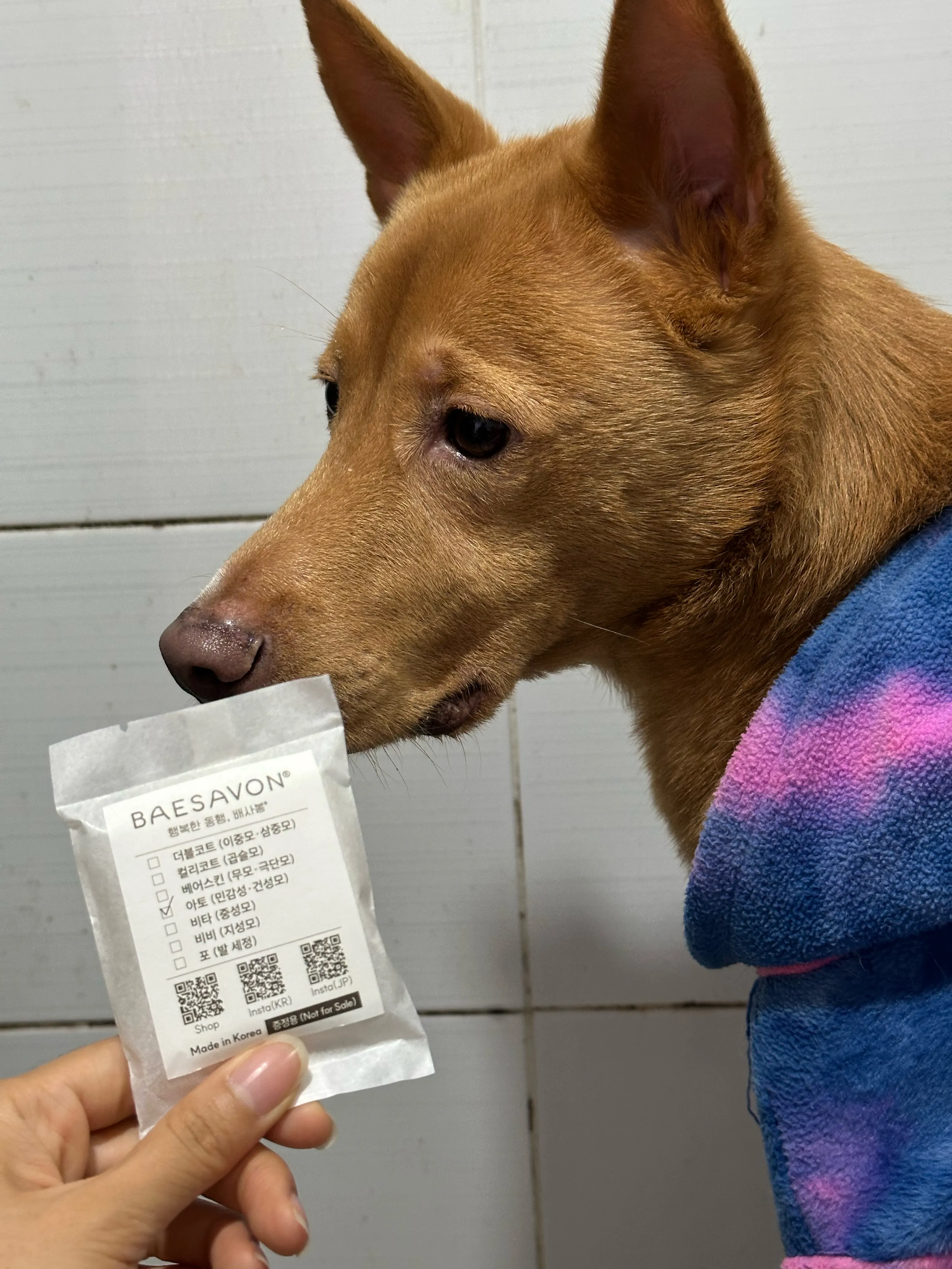 베스트 후기 이미지