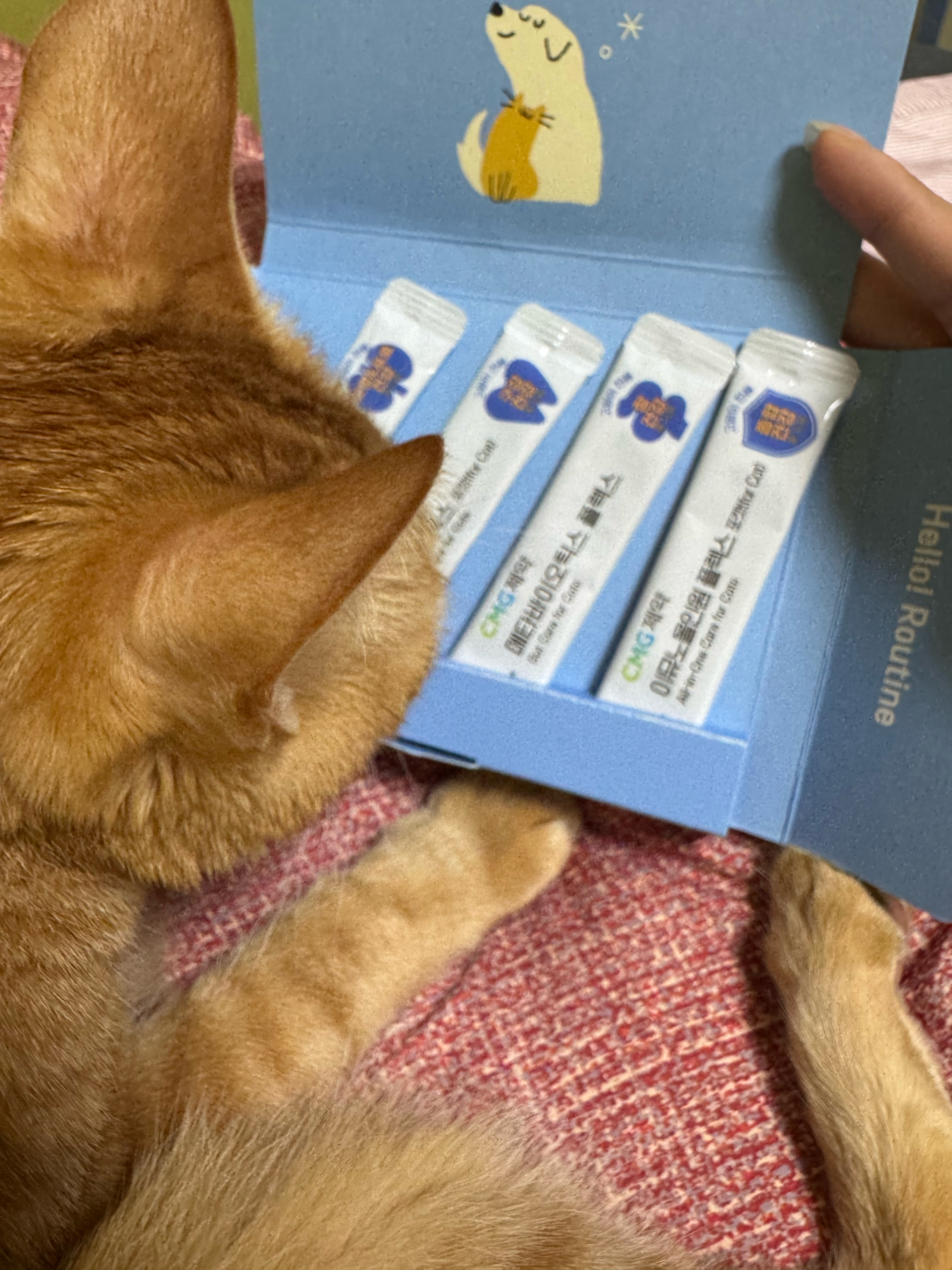 베스트 후기 이미지