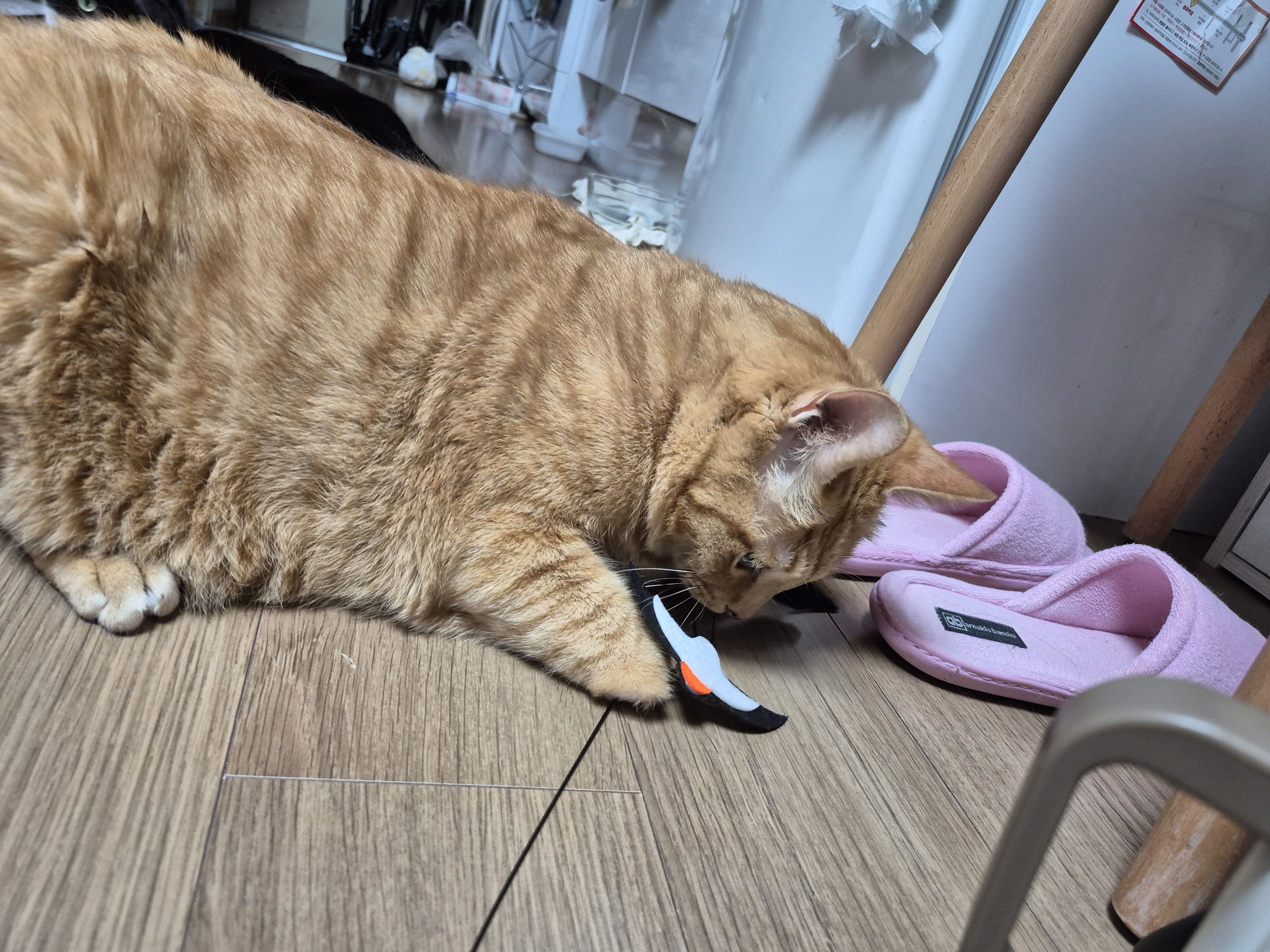 베스트 후기 이미지