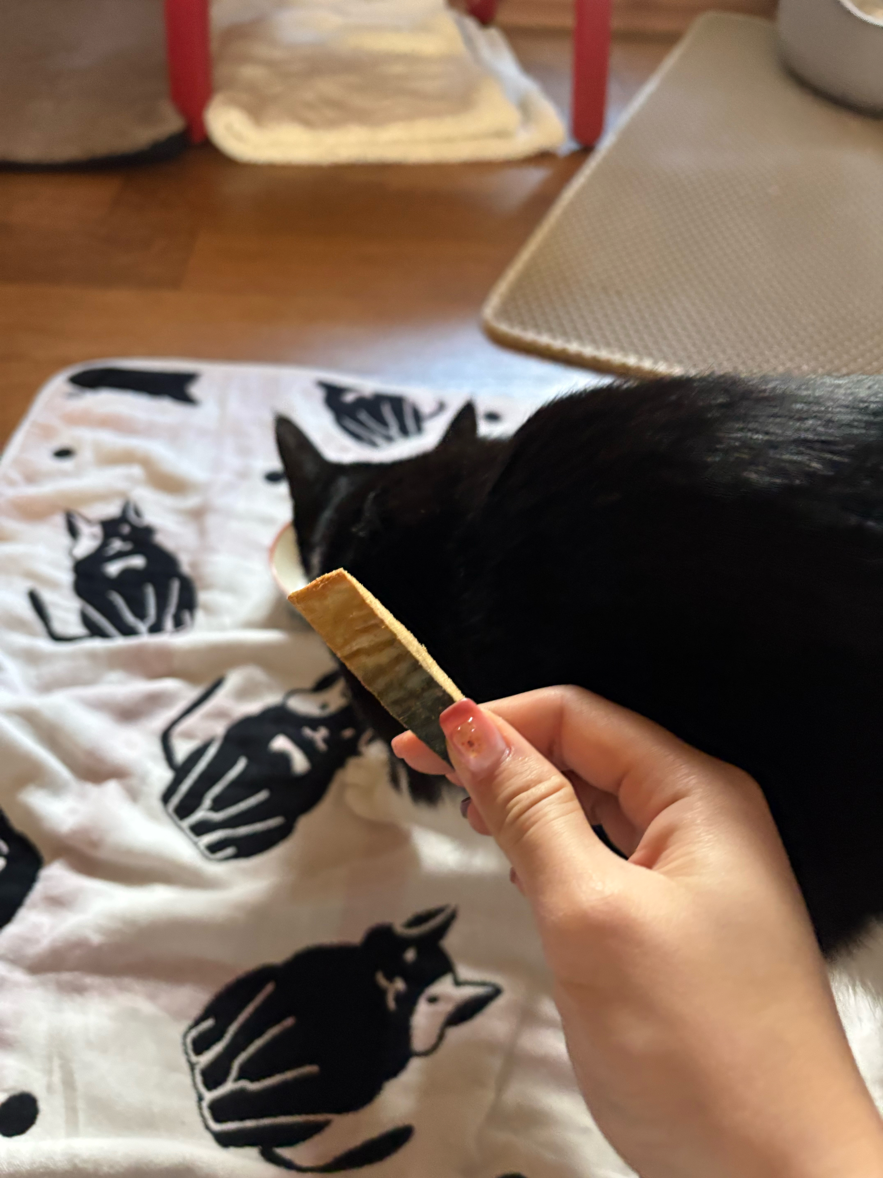 베스트 후기 이미지