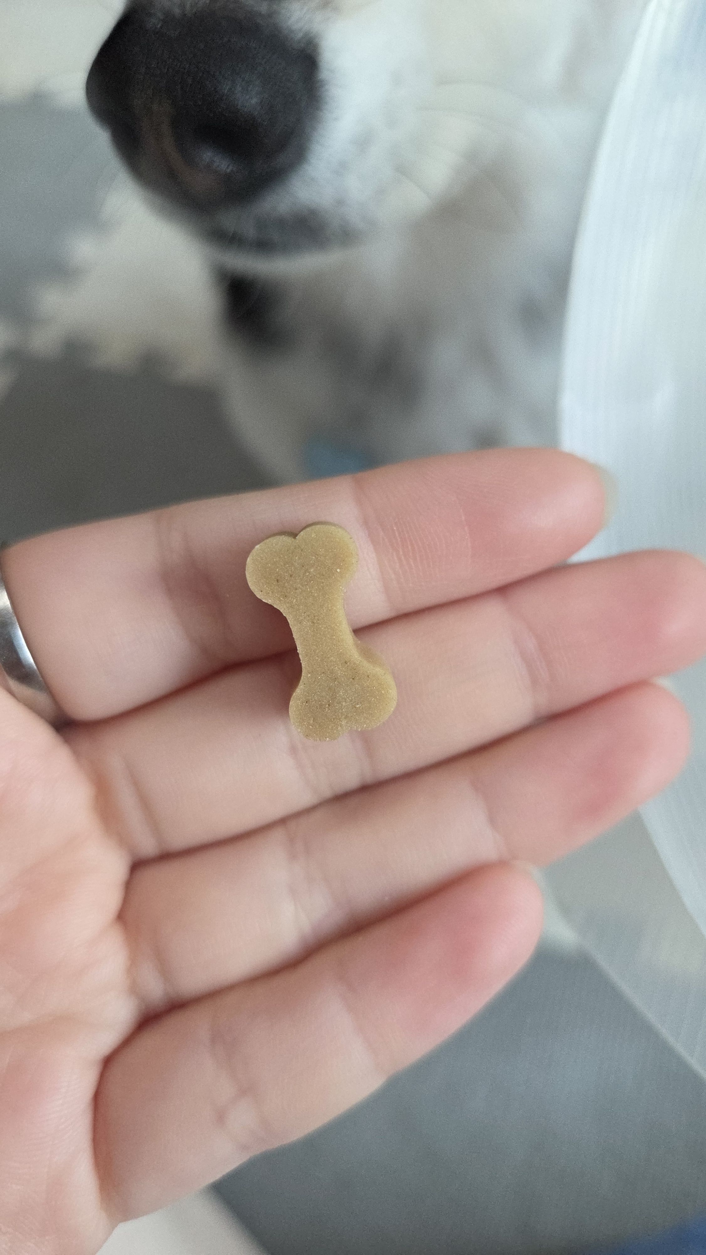 베스트 후기 이미지