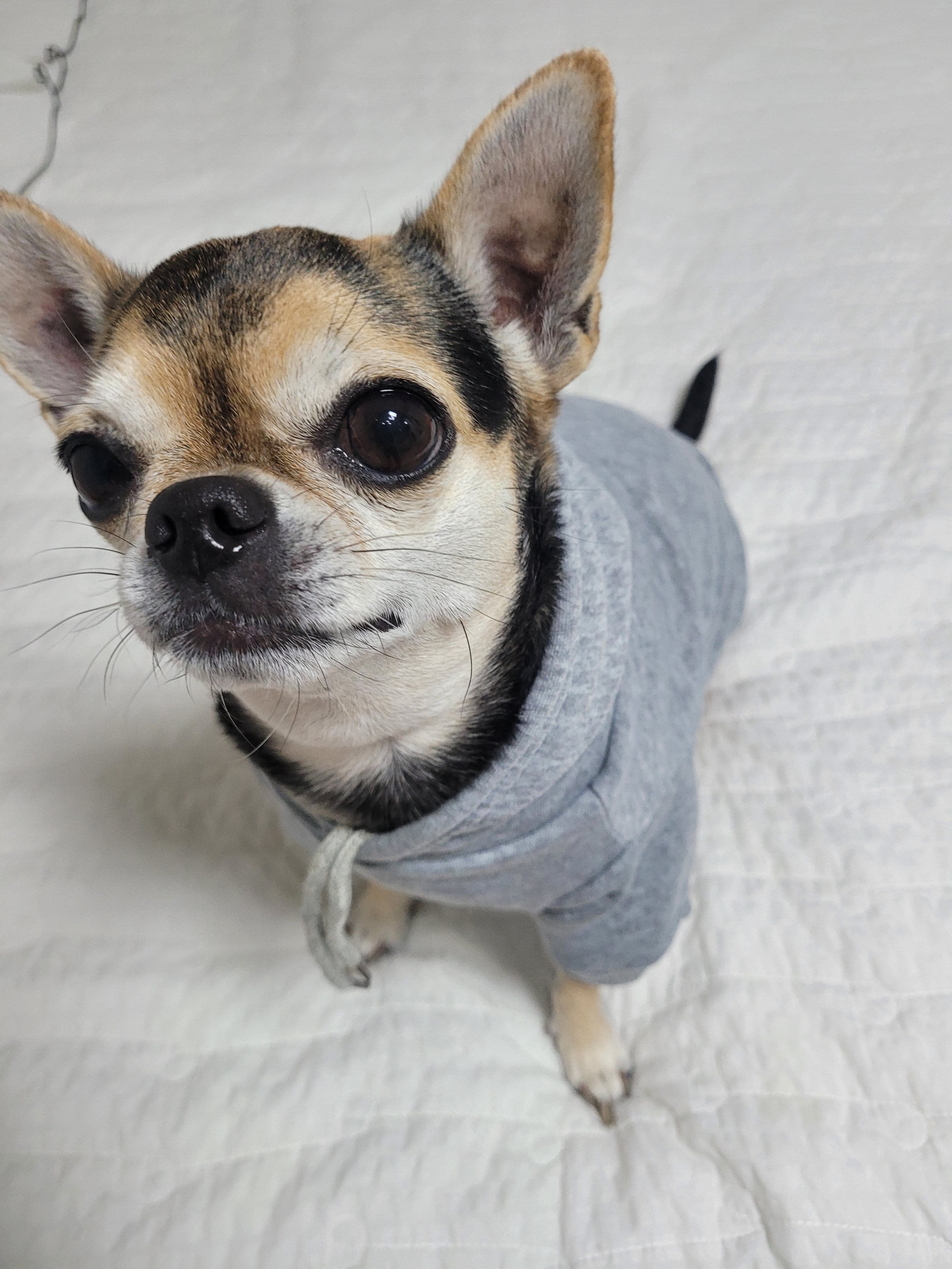 베스트 후기 이미지