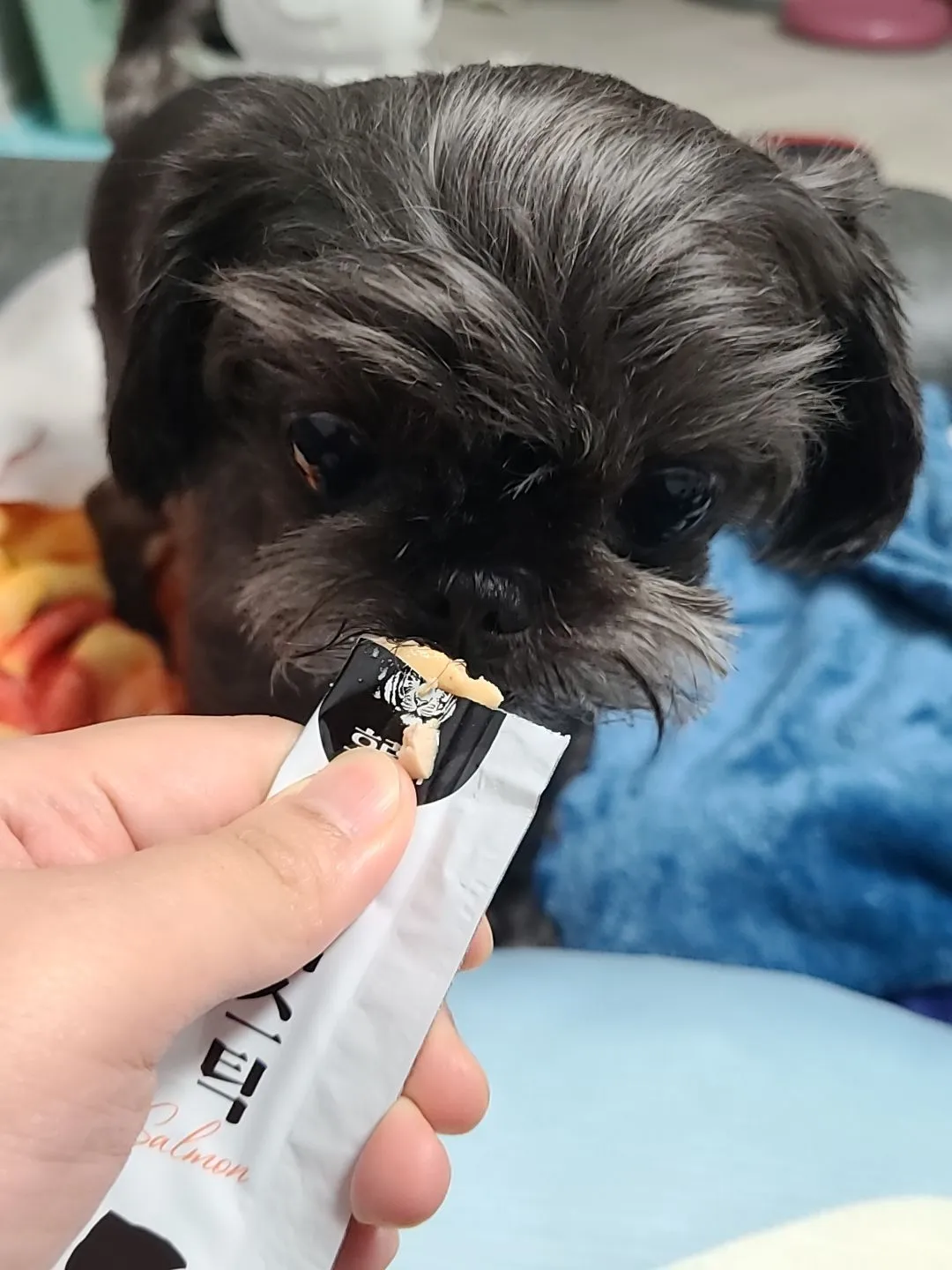 베스트 후기 이미지