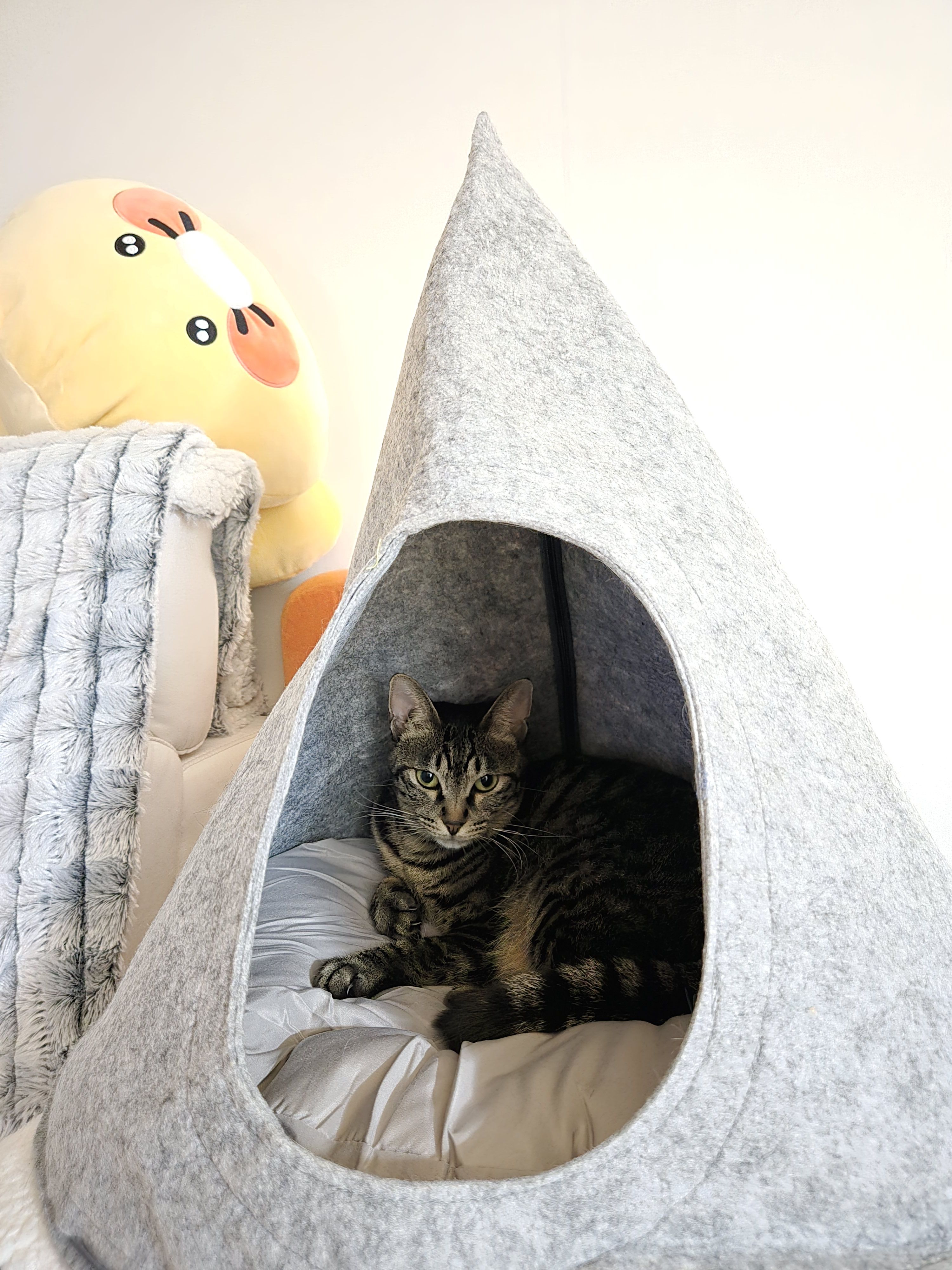 베스트 후기 이미지