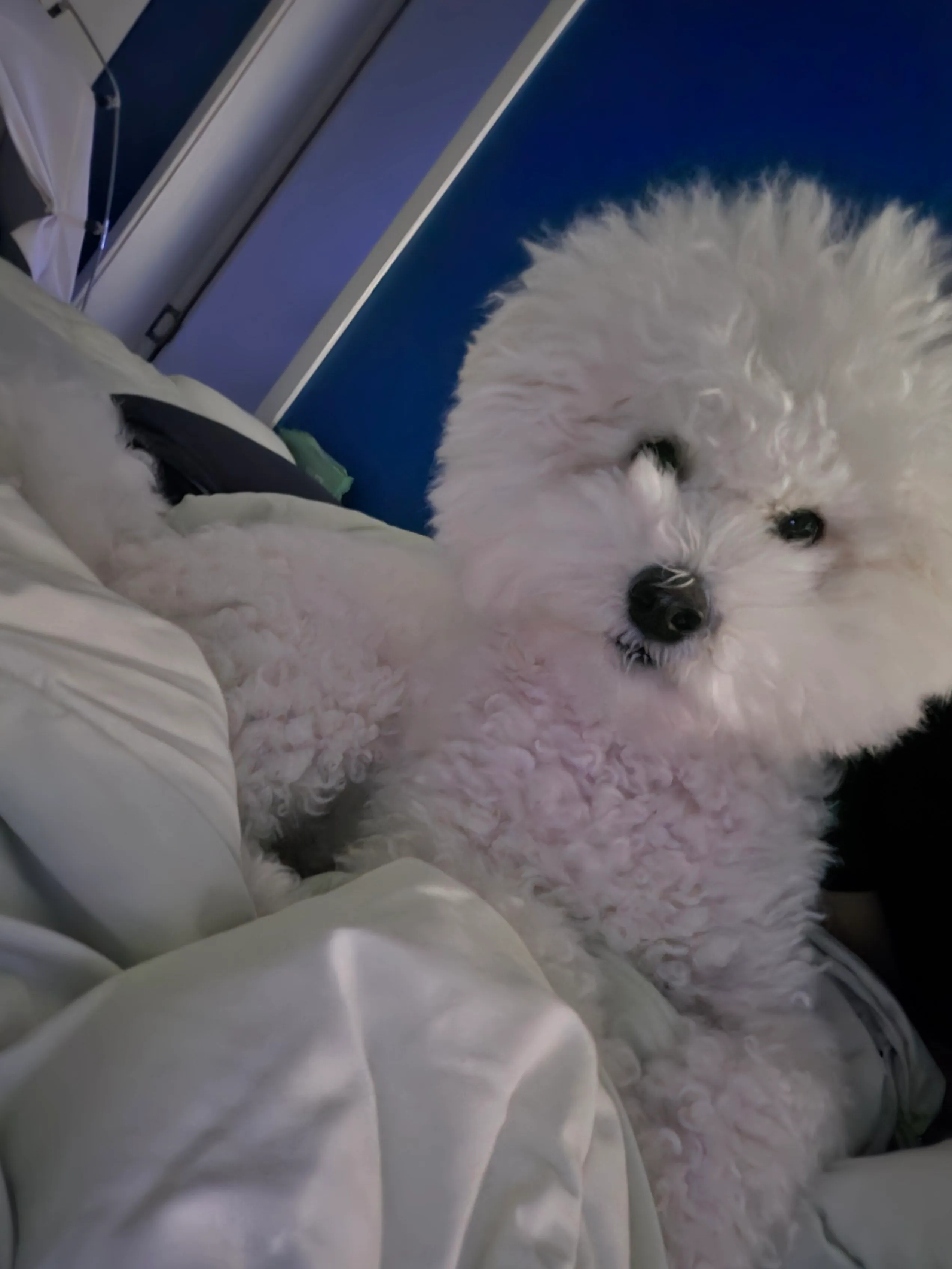 베스트 후기 이미지