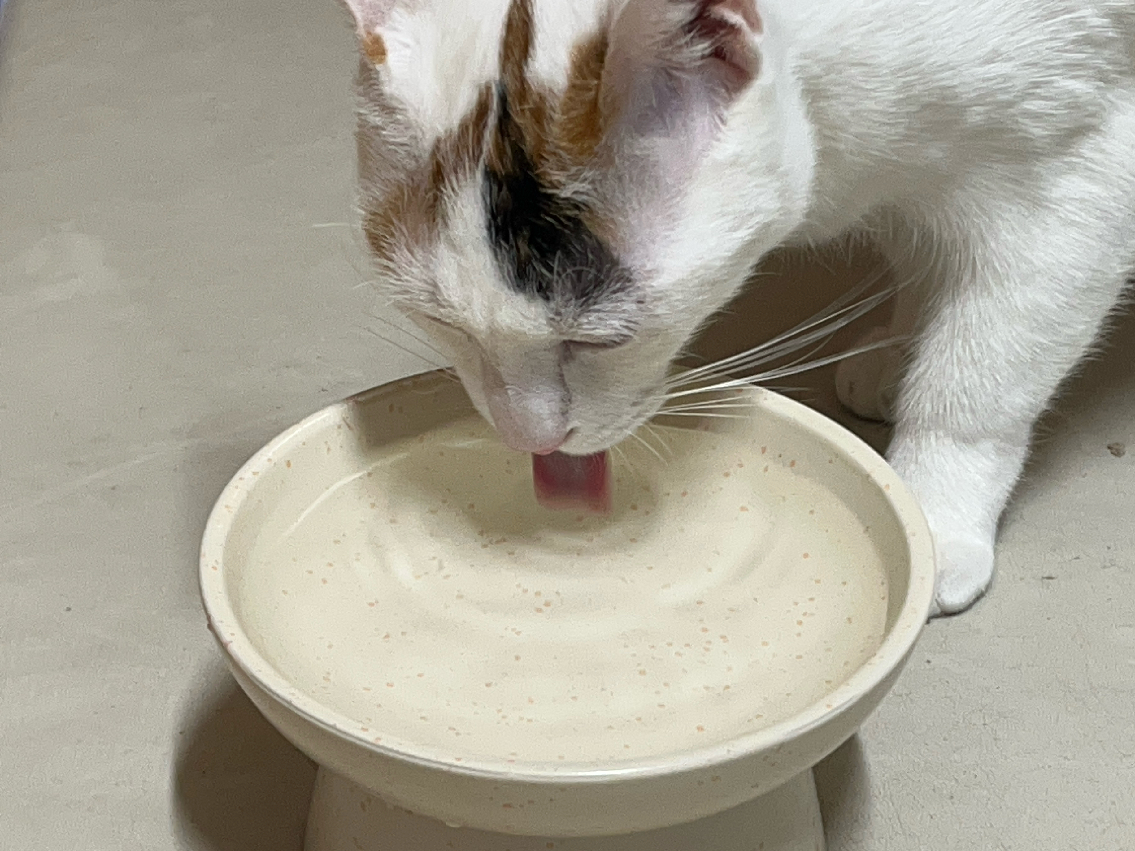 베스트 후기 이미지