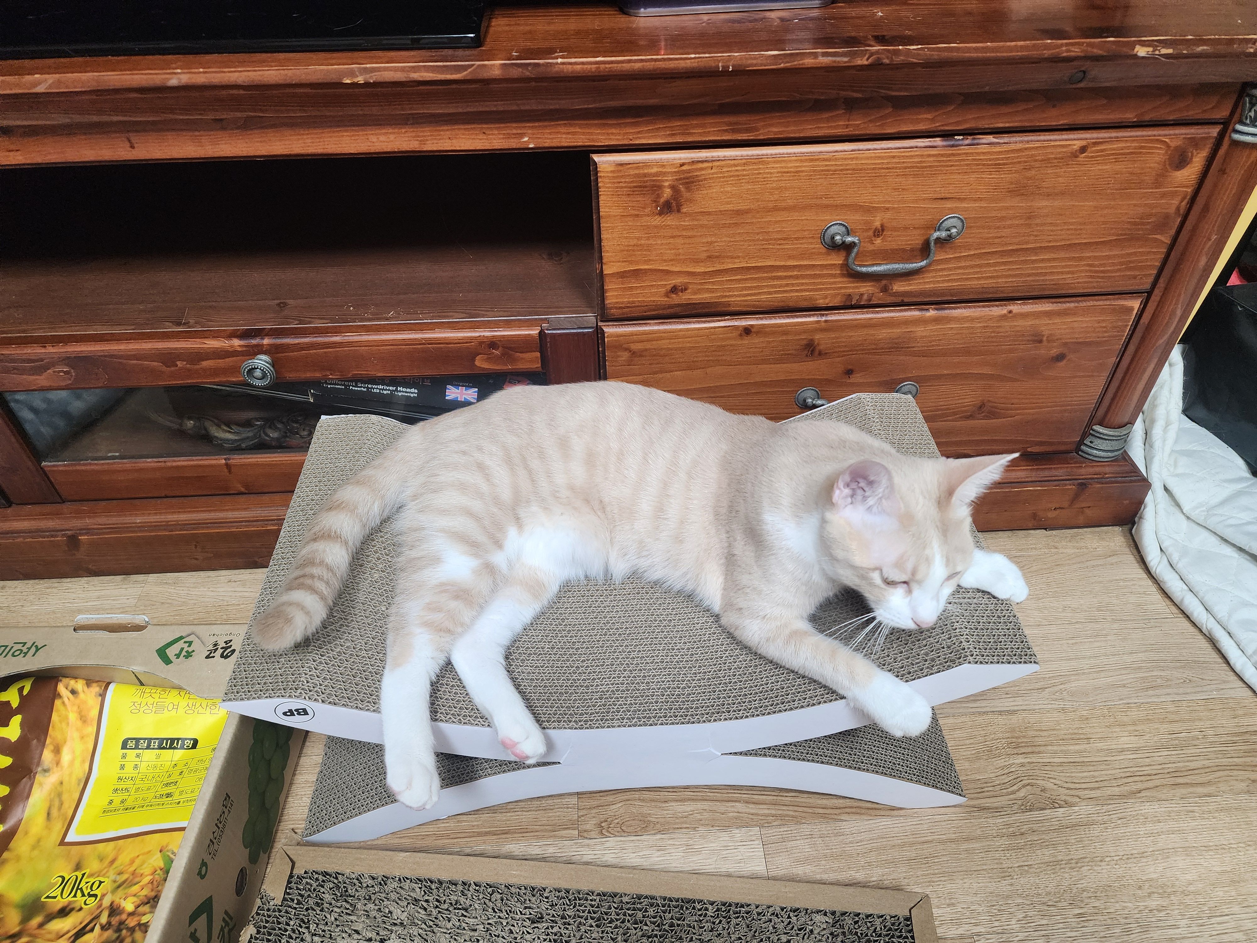 베스트 후기 이미지