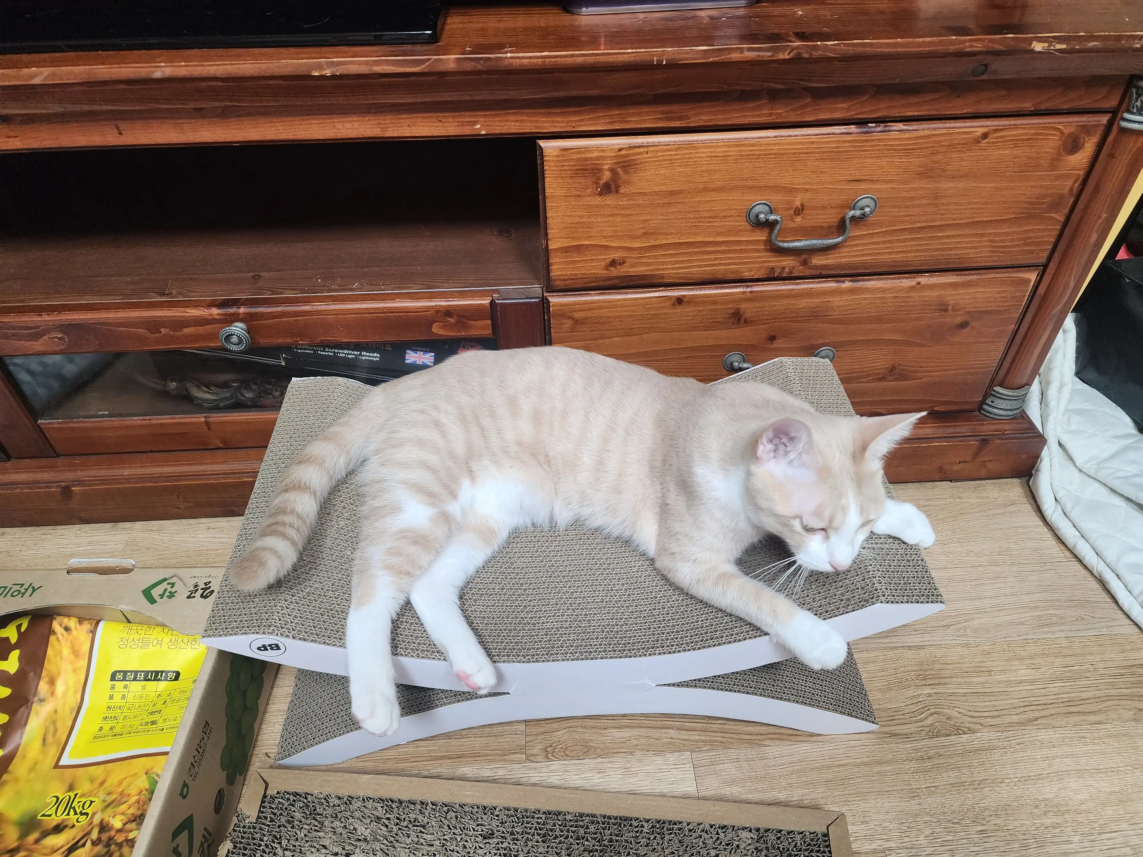 베스트 후기 이미지