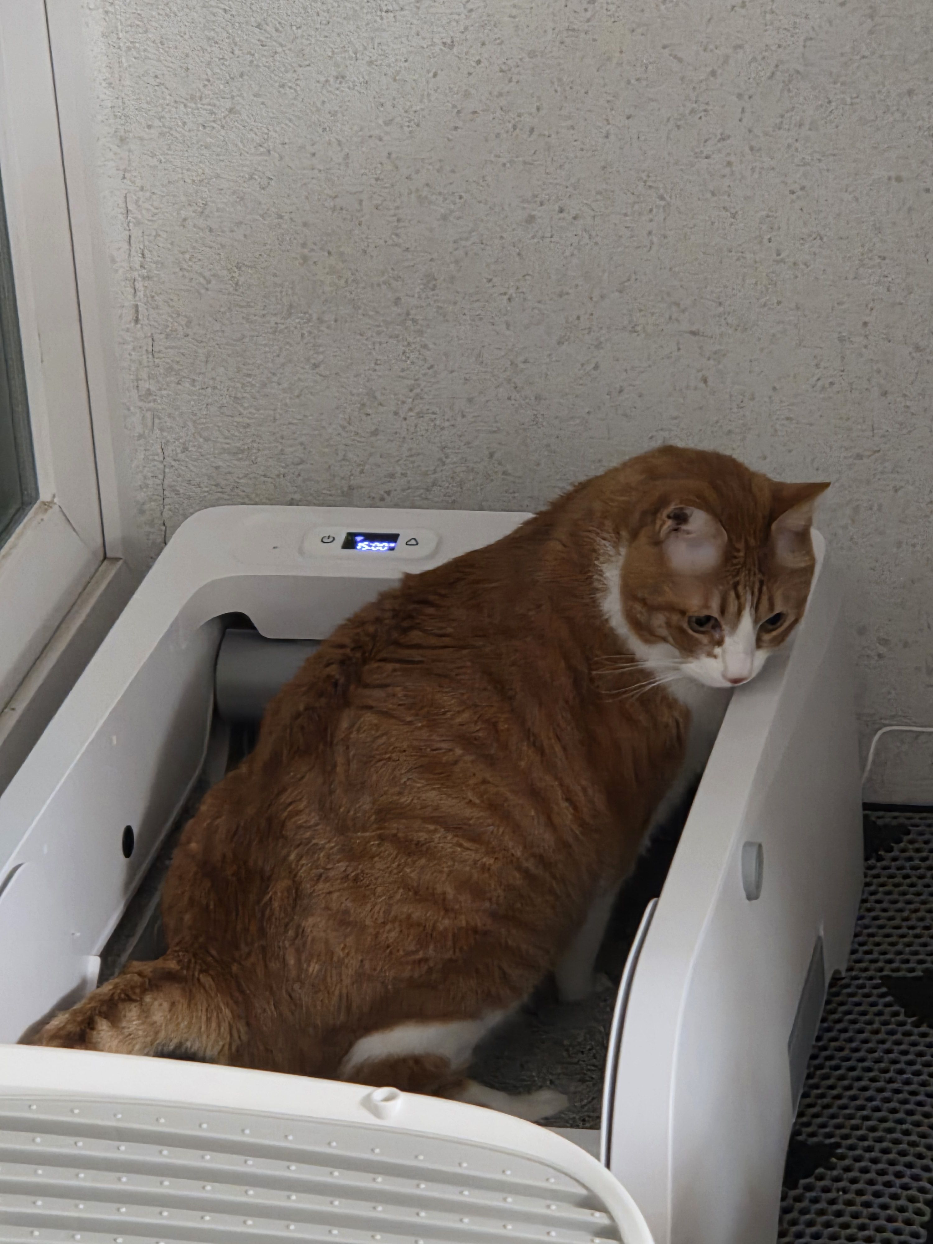 베스트 후기 이미지