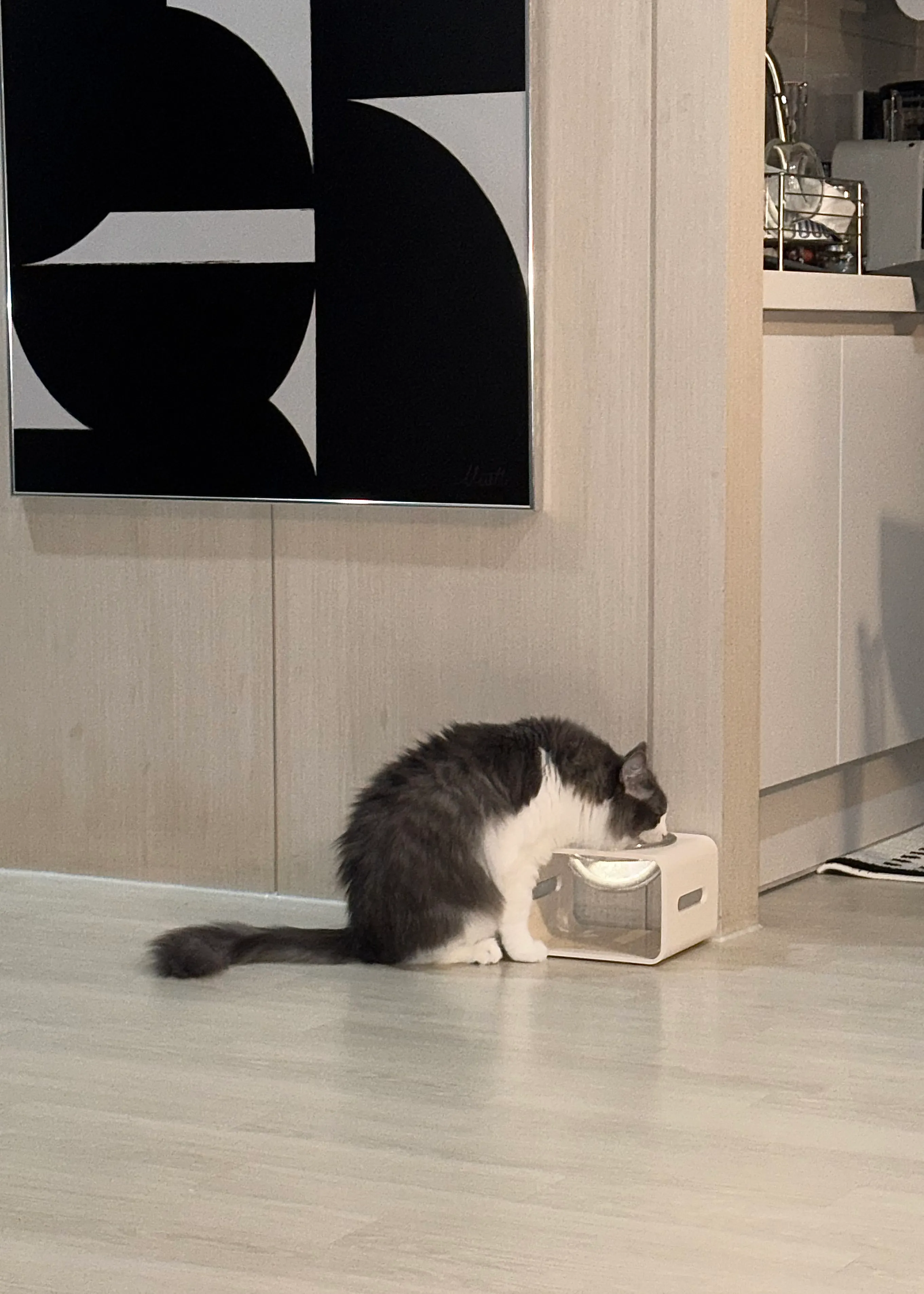 베스트 후기 이미지