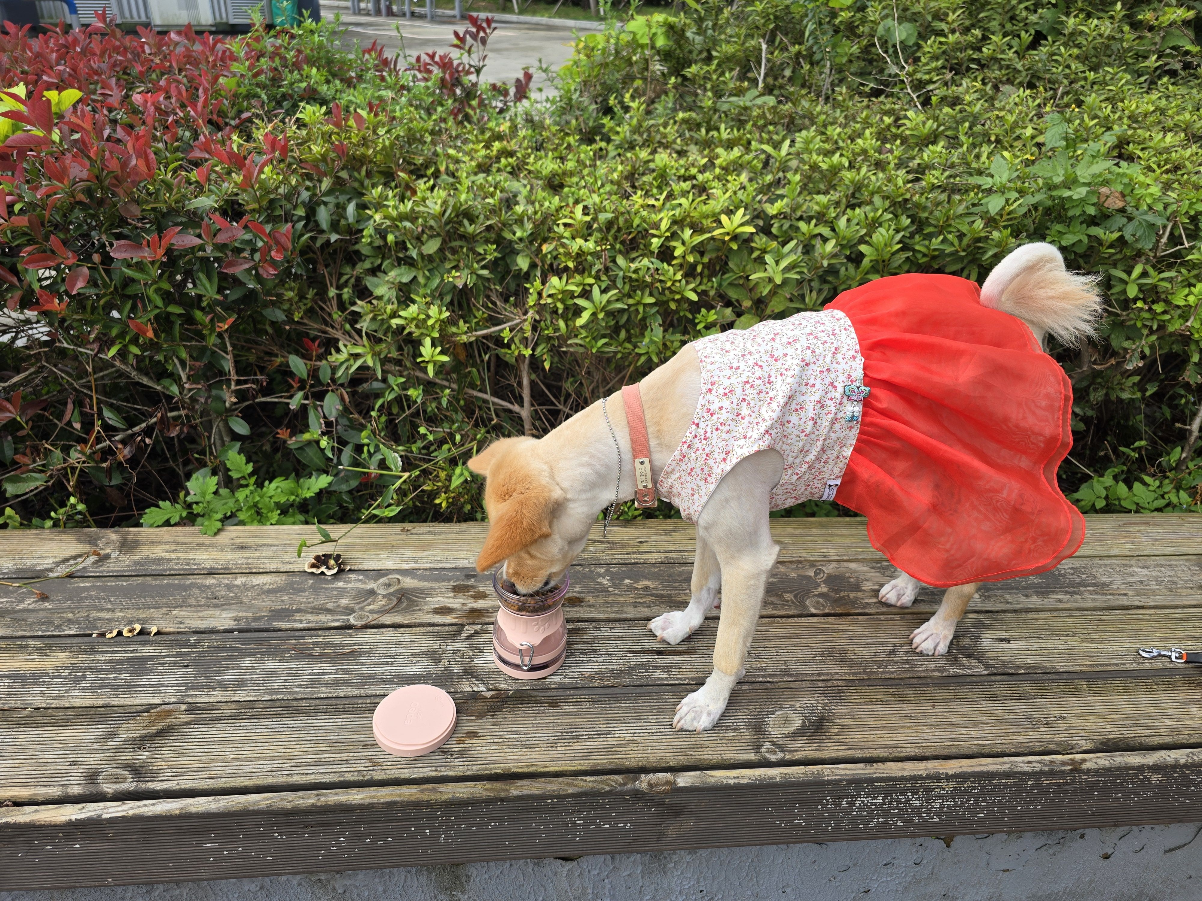 베스트 후기 이미지