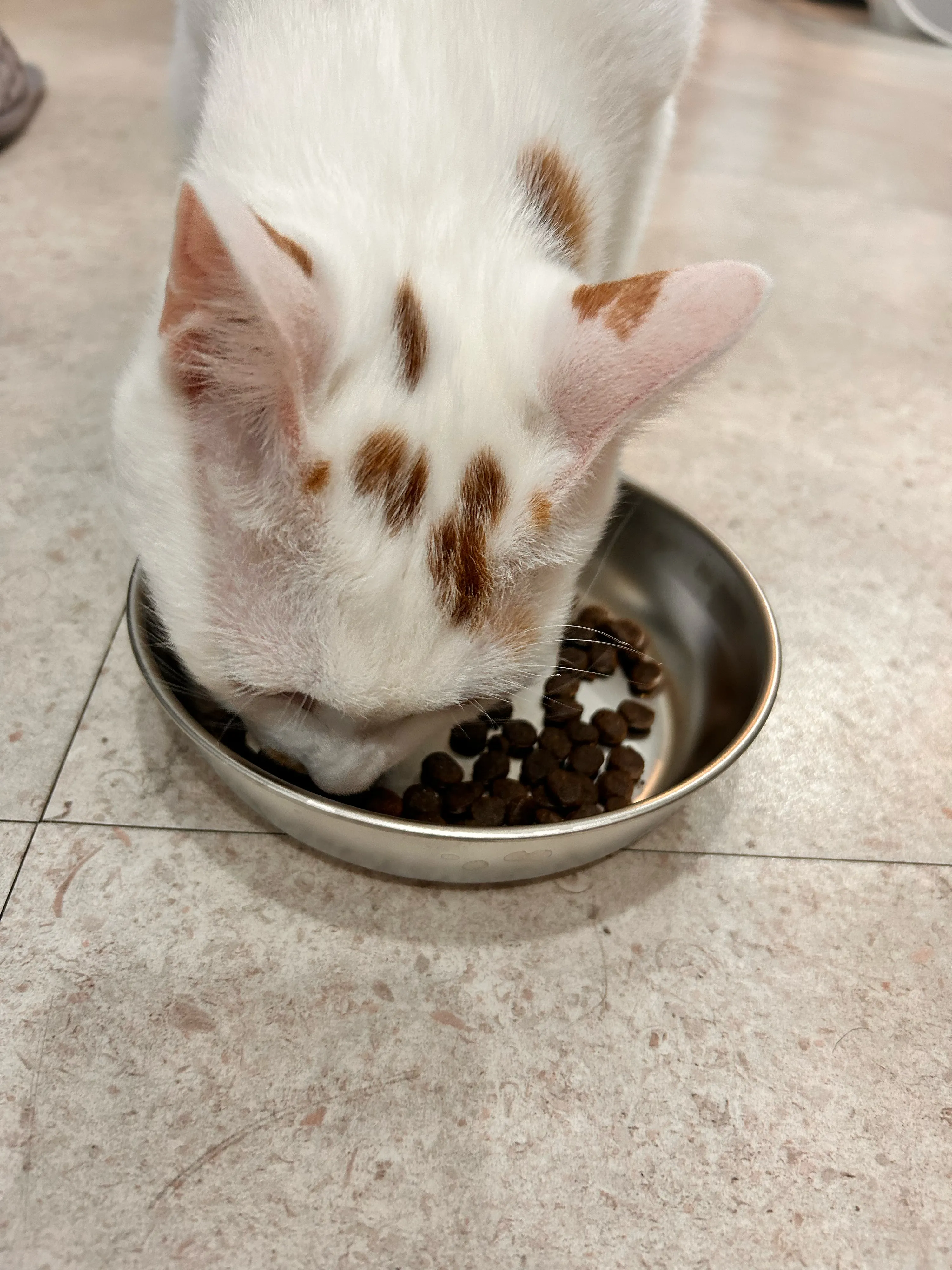 베스트 후기 이미지