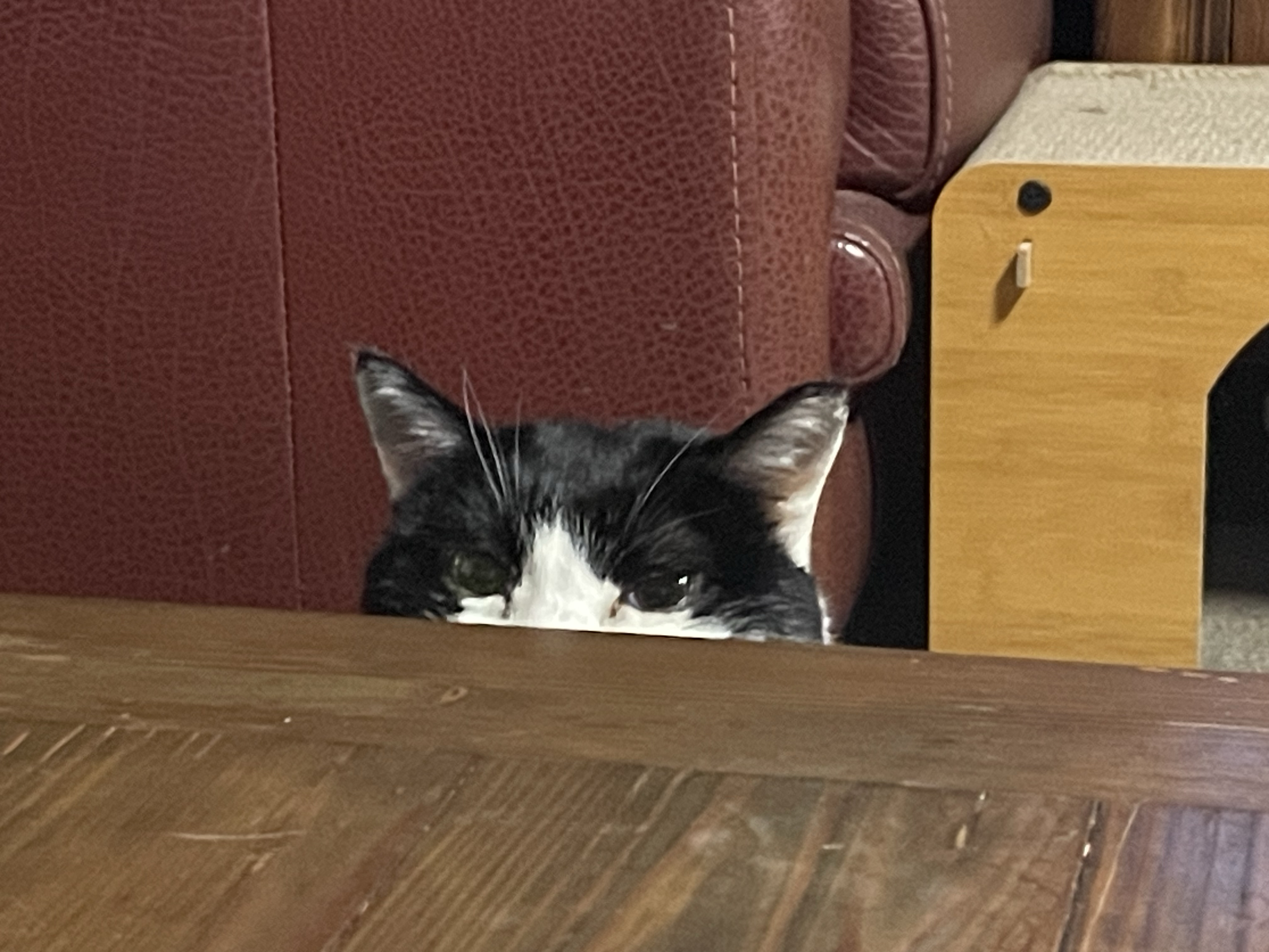 베스트 후기 이미지