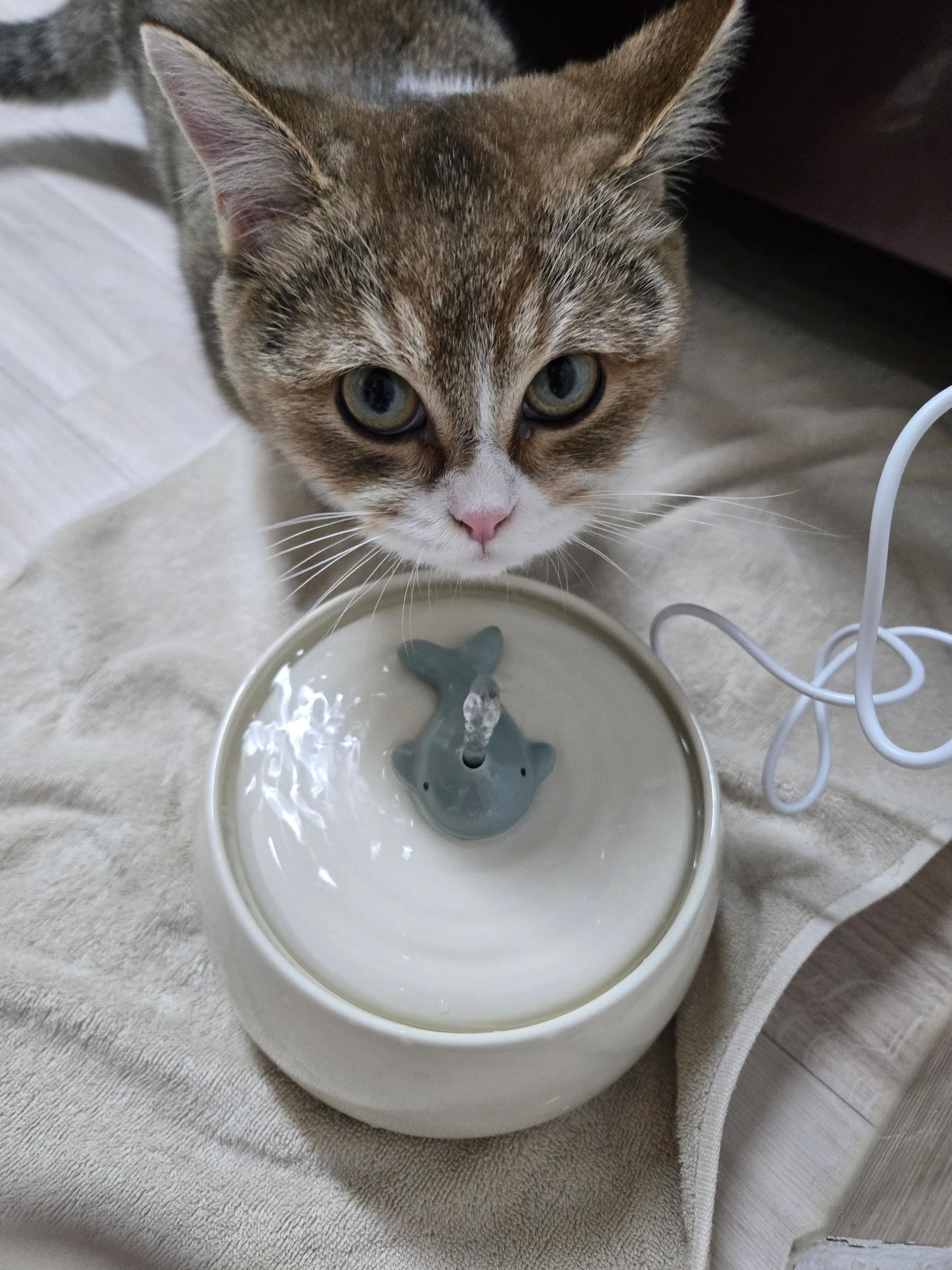 베스트 후기 이미지