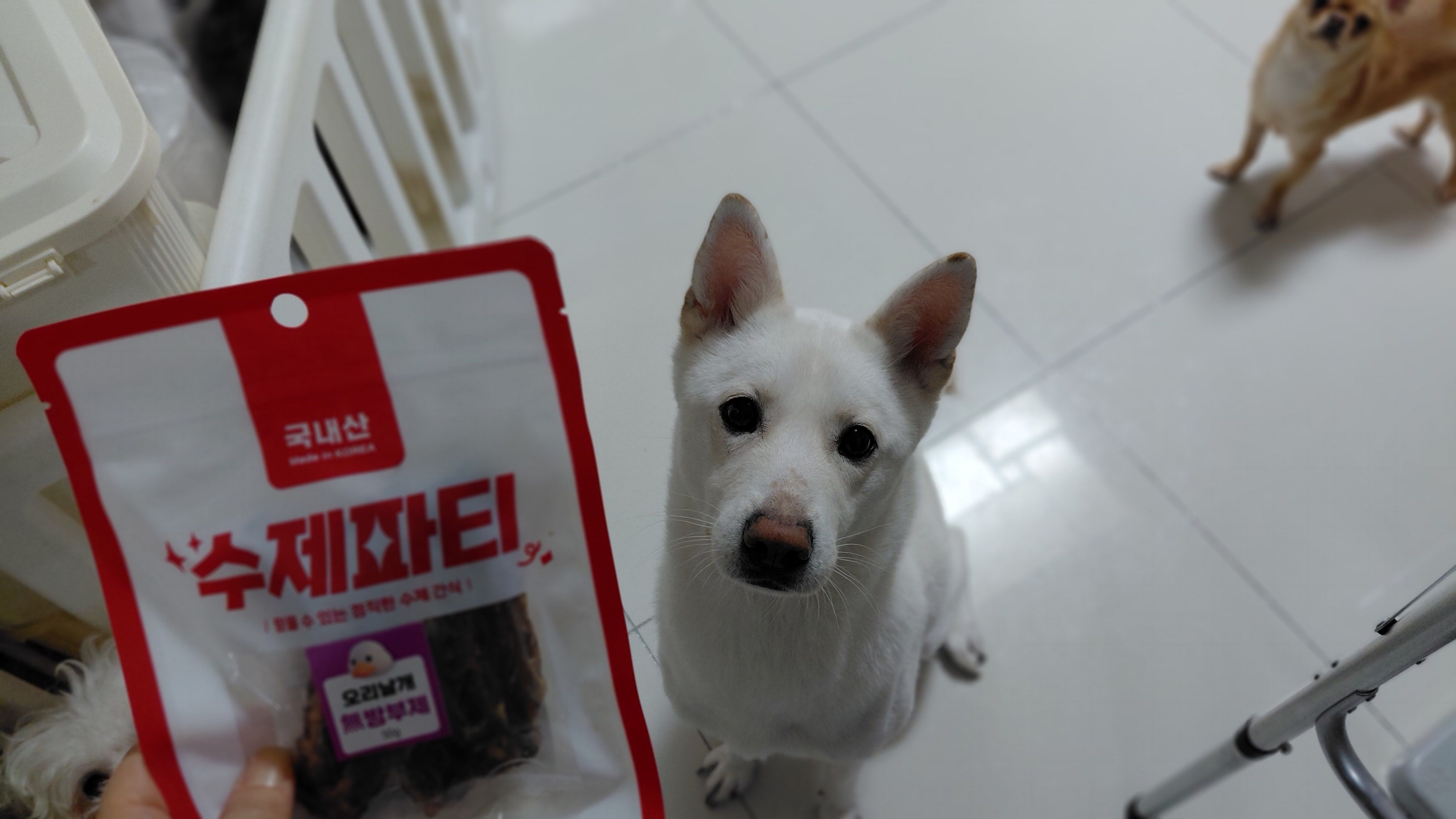 베스트 후기 이미지