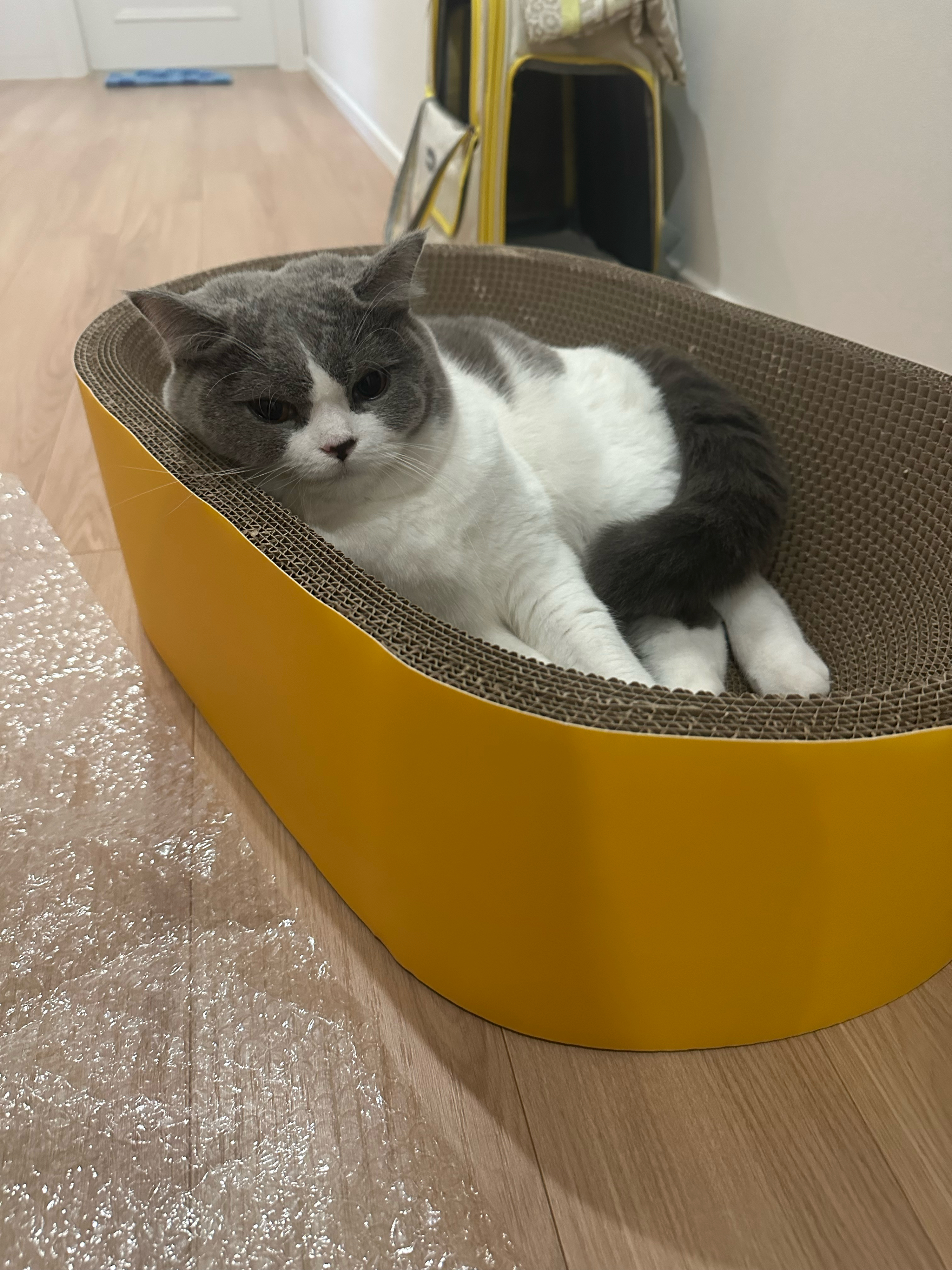 베스트 후기 이미지