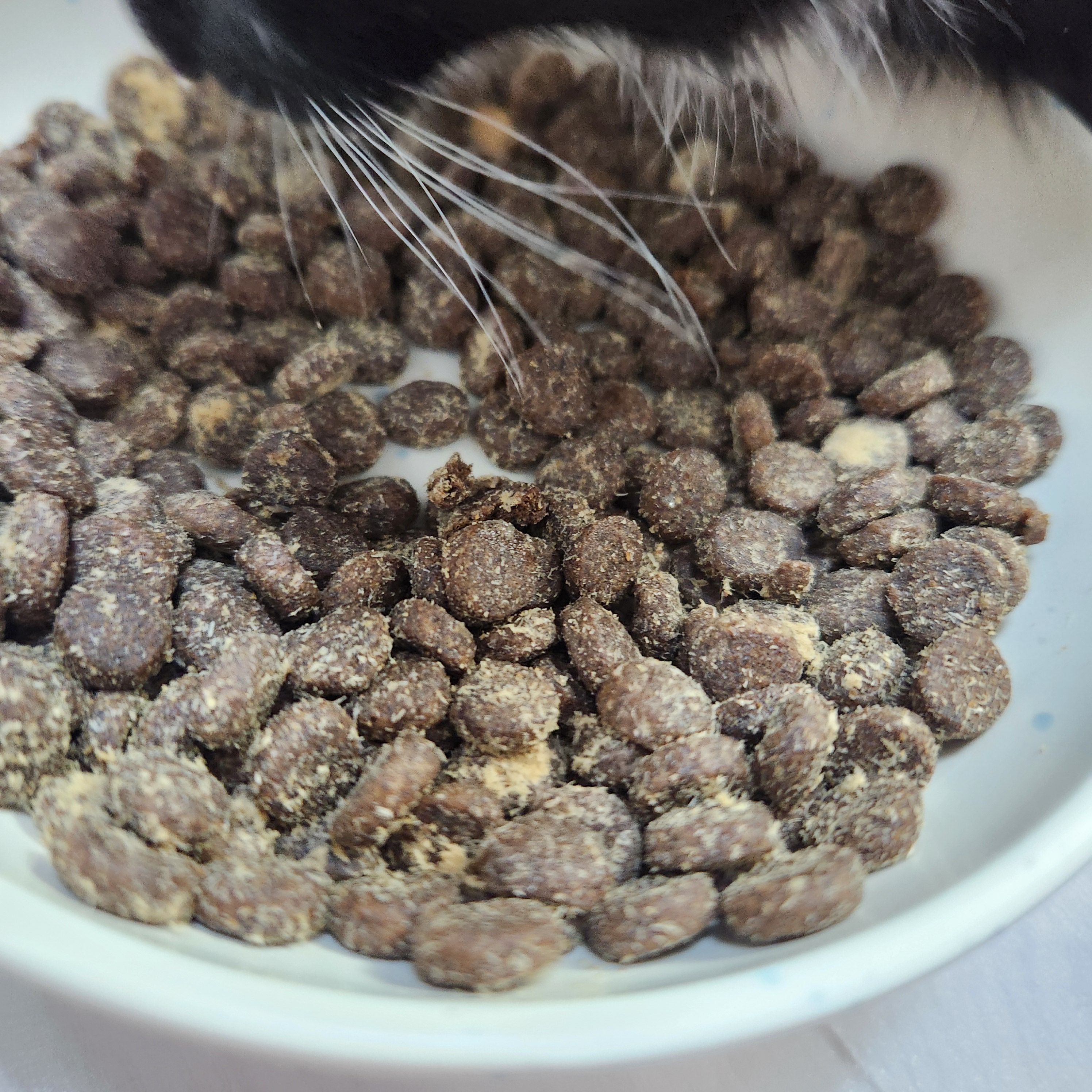 베스트 후기 이미지