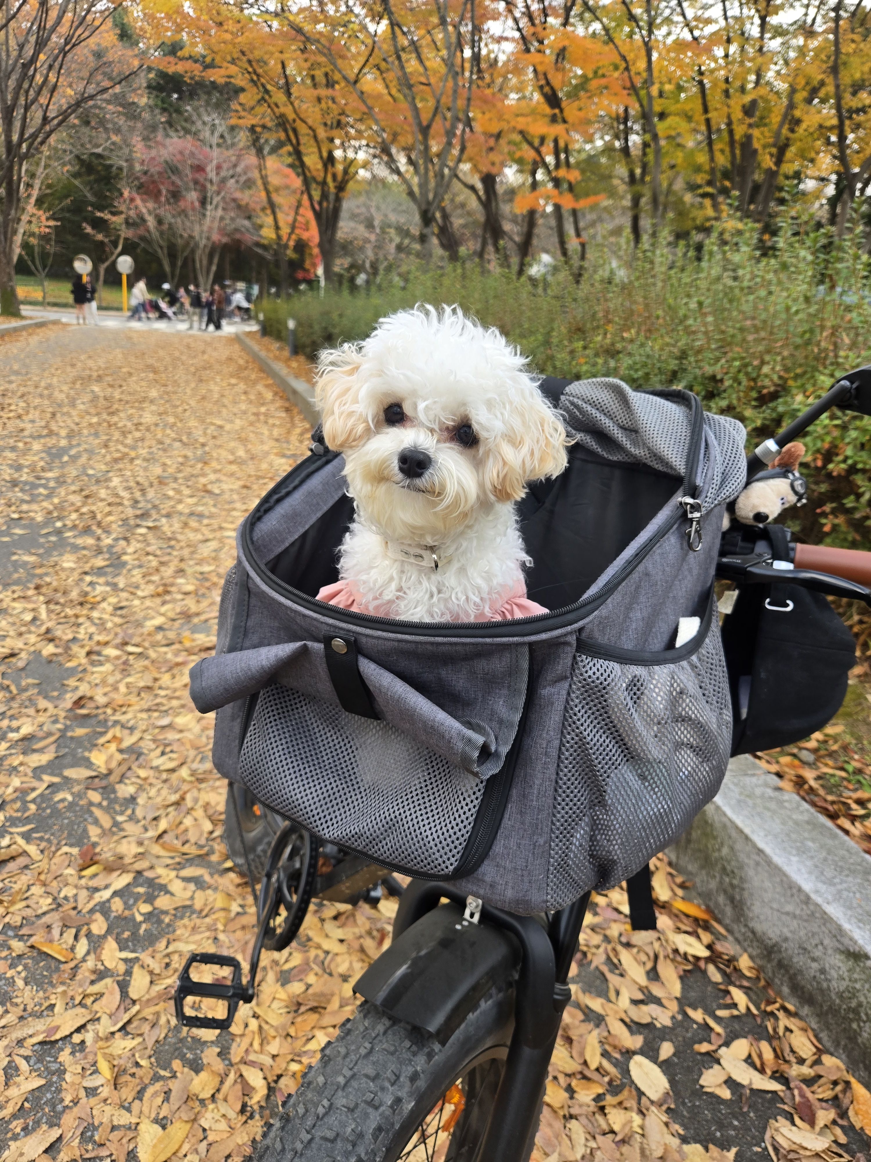 베스트 후기 이미지