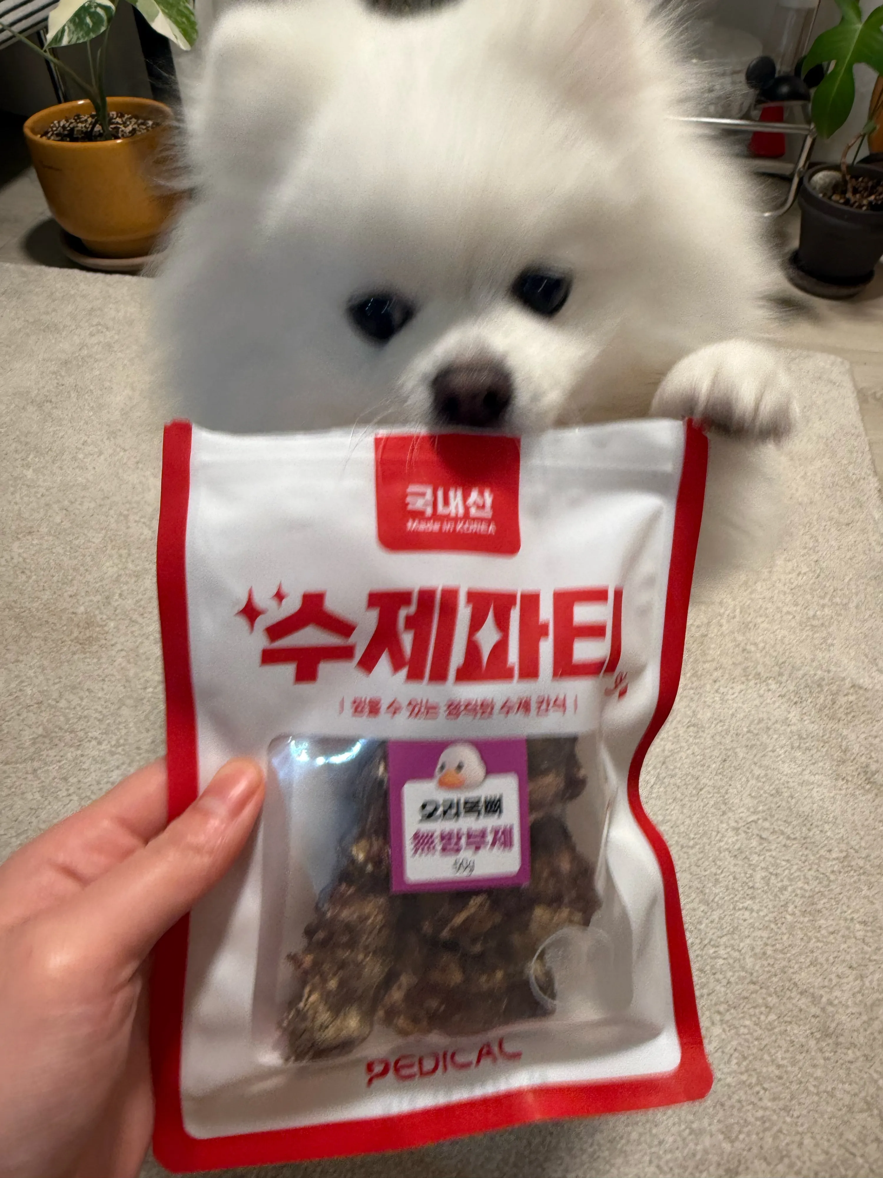 베스트 후기 이미지