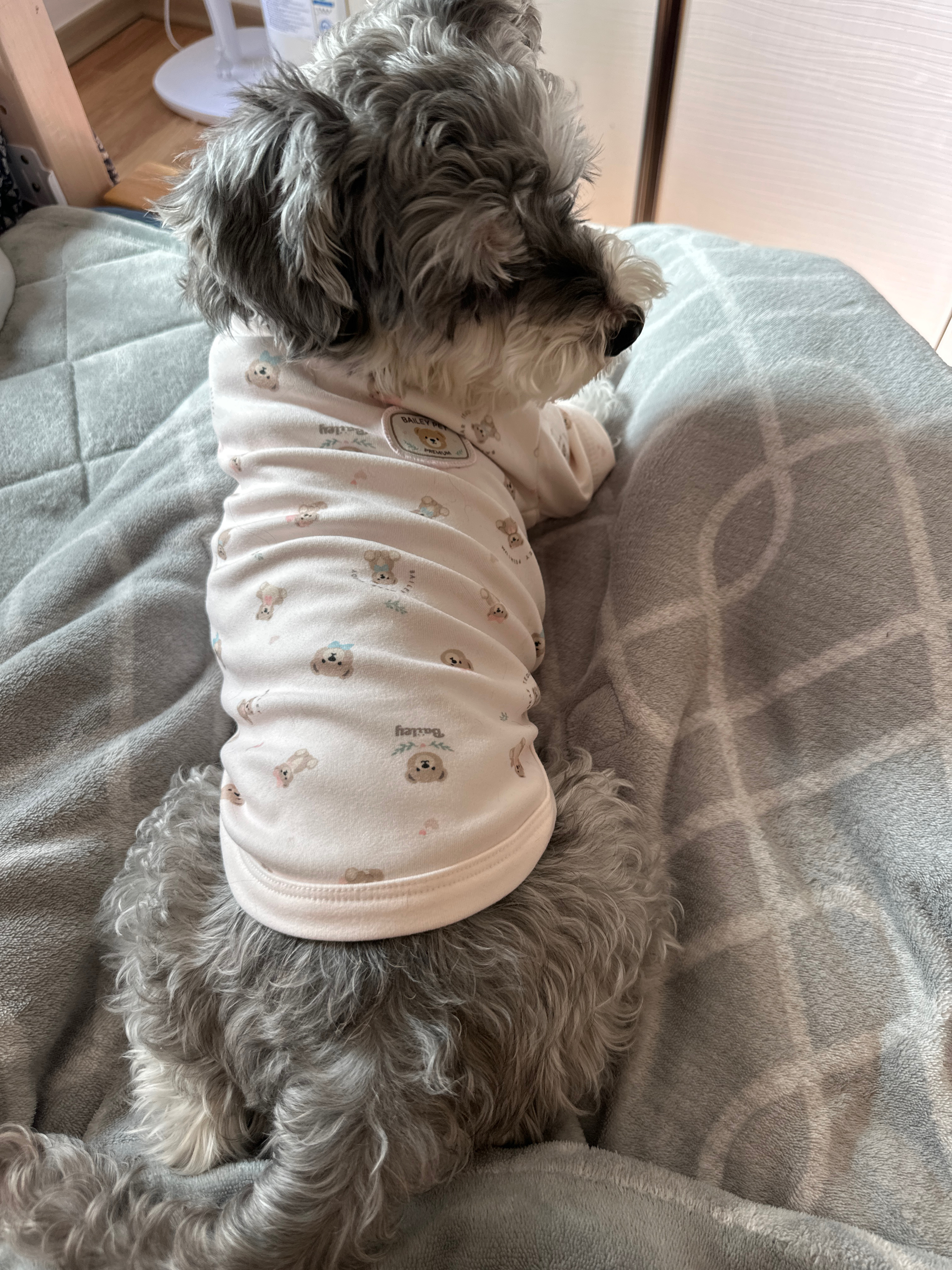 베스트 후기 이미지