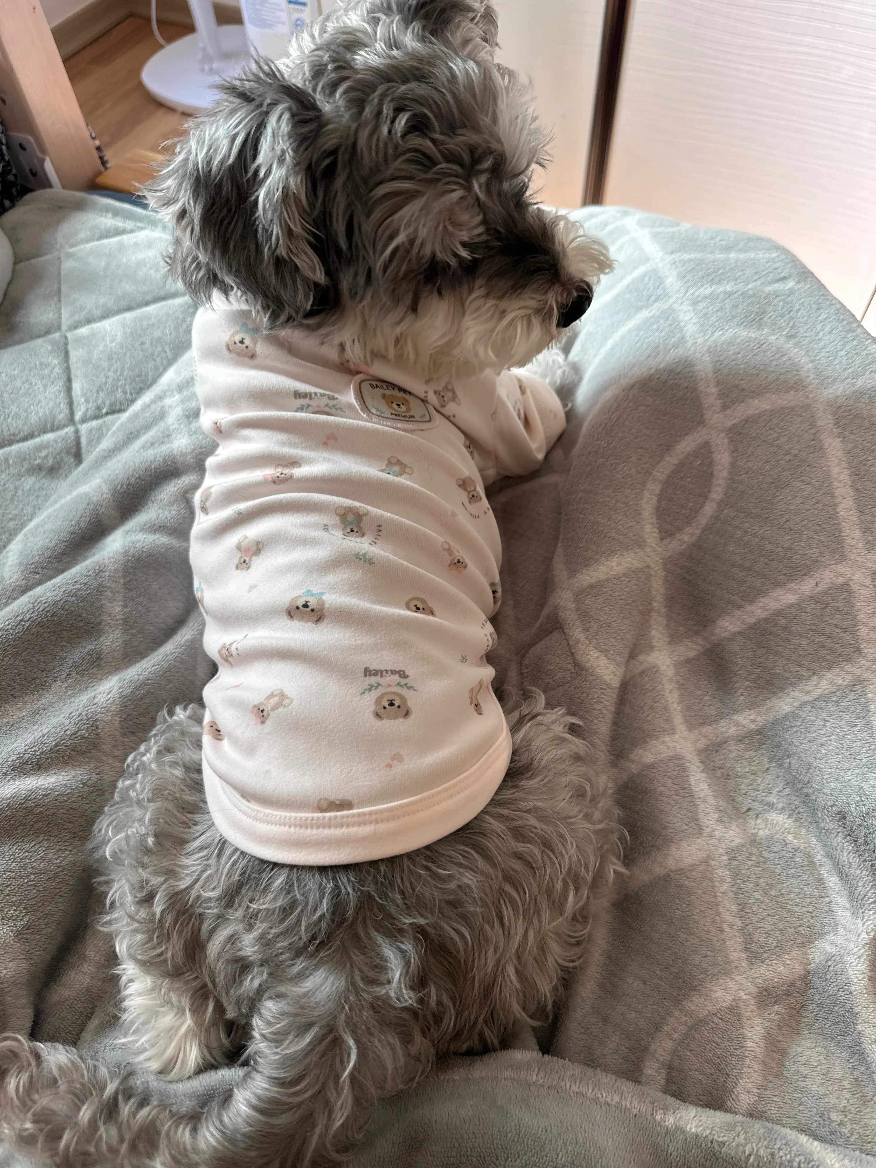 베스트 후기 이미지