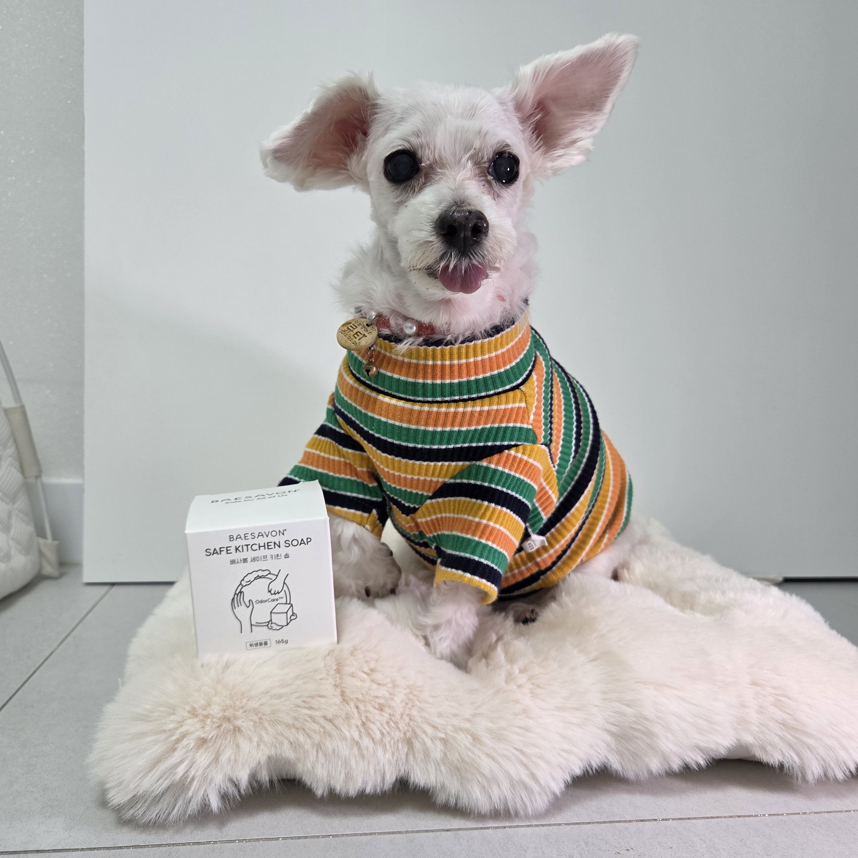 베스트 후기 이미지