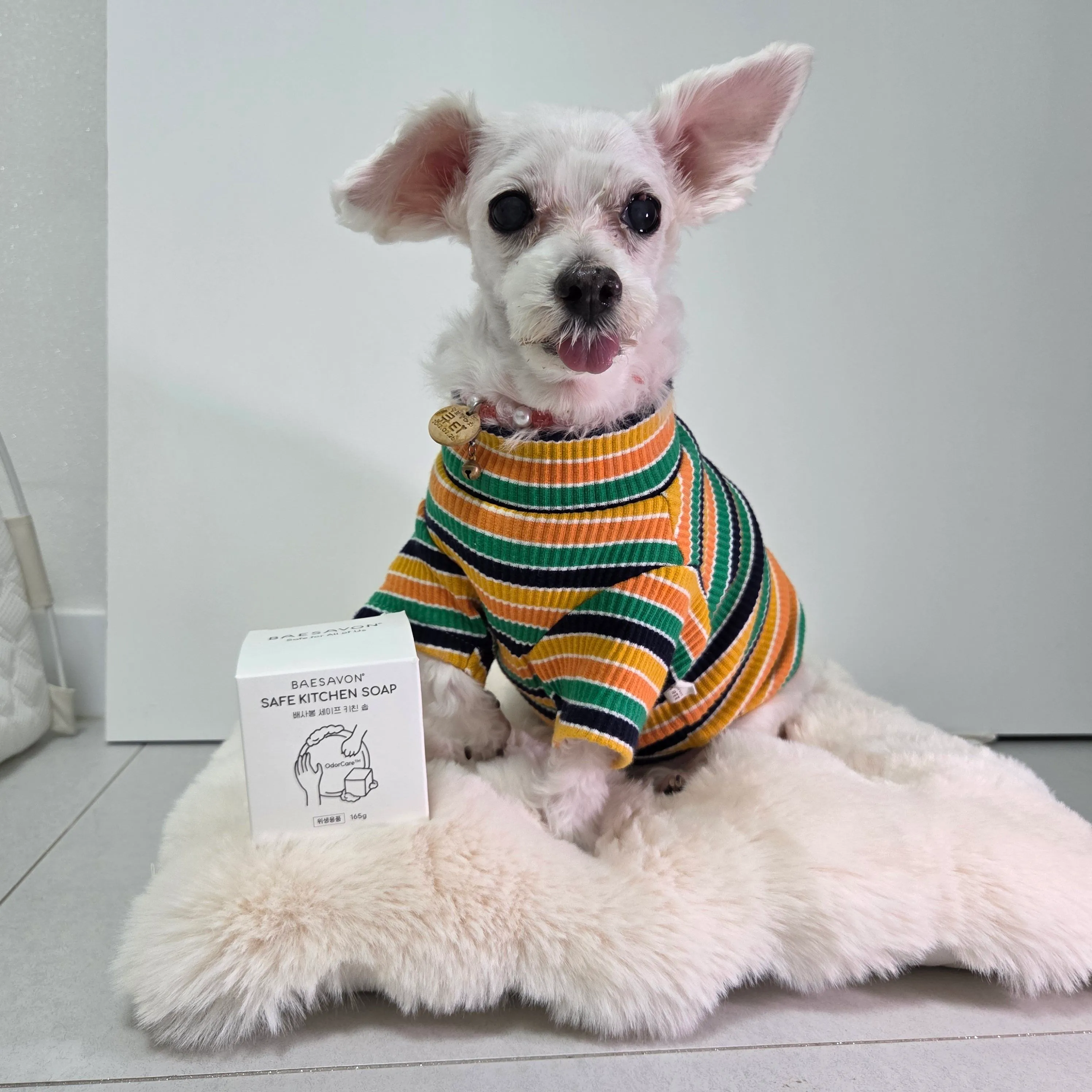 베스트 후기 이미지