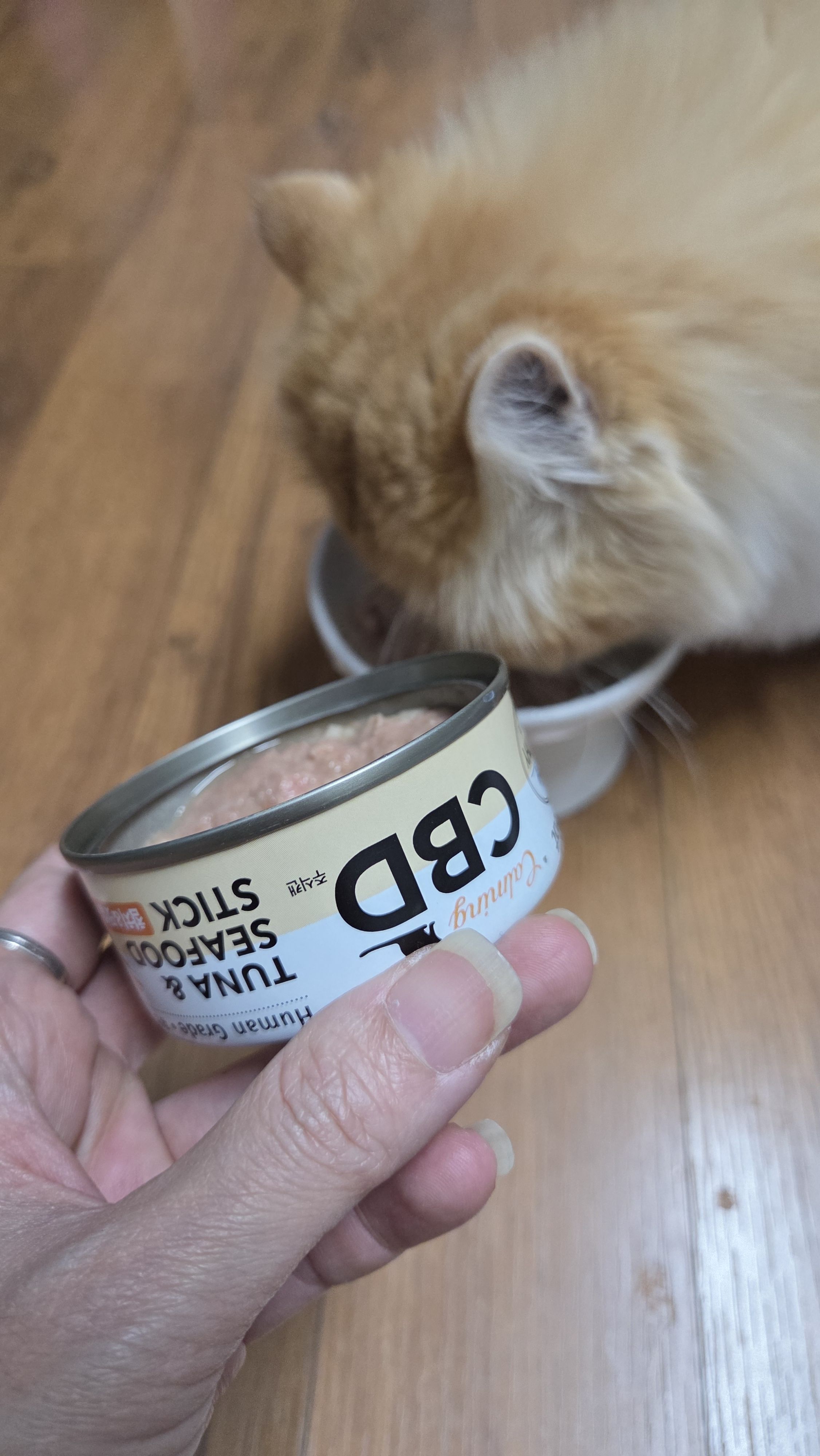 베스트 후기 이미지