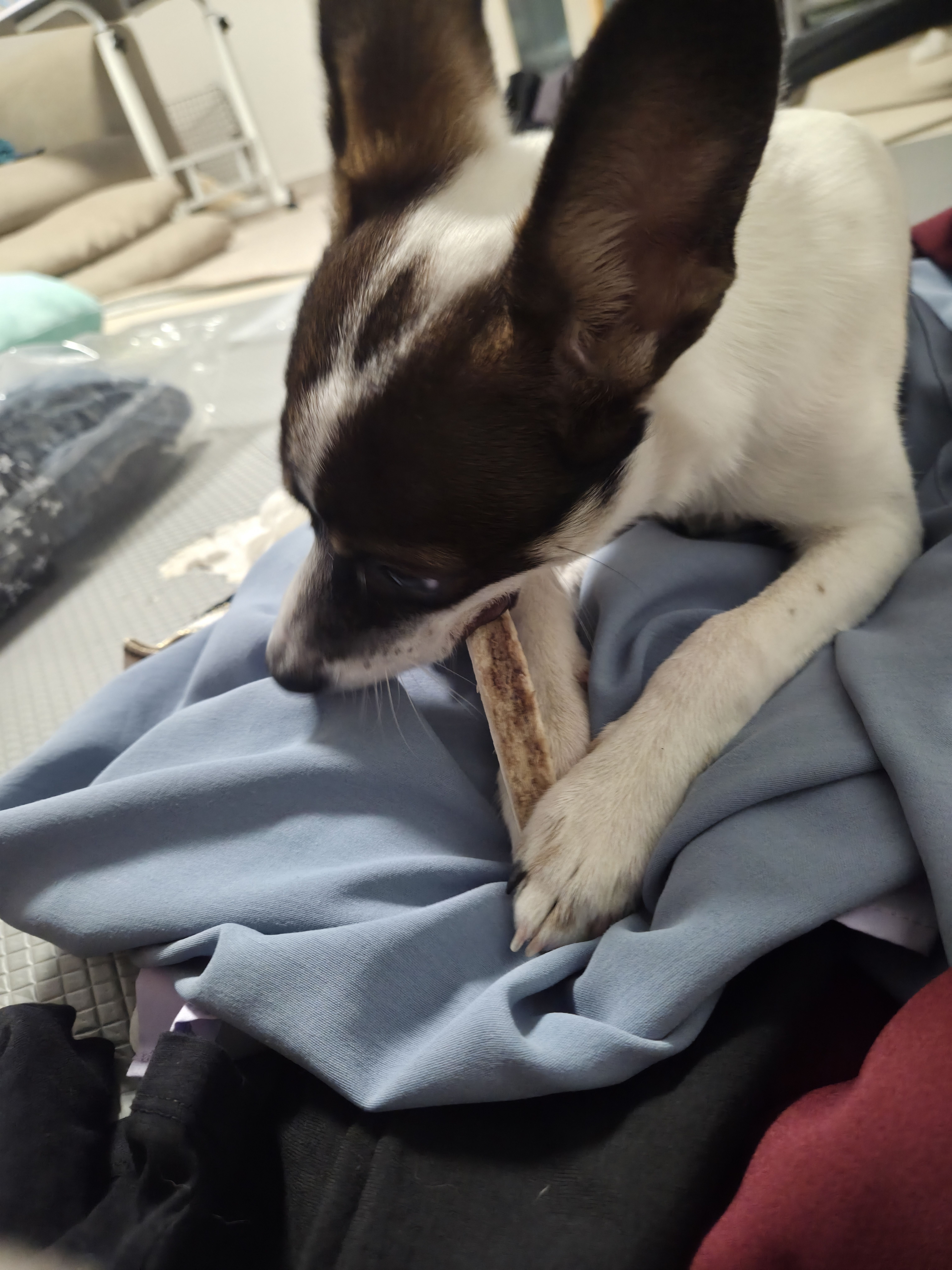 베스트 후기 이미지