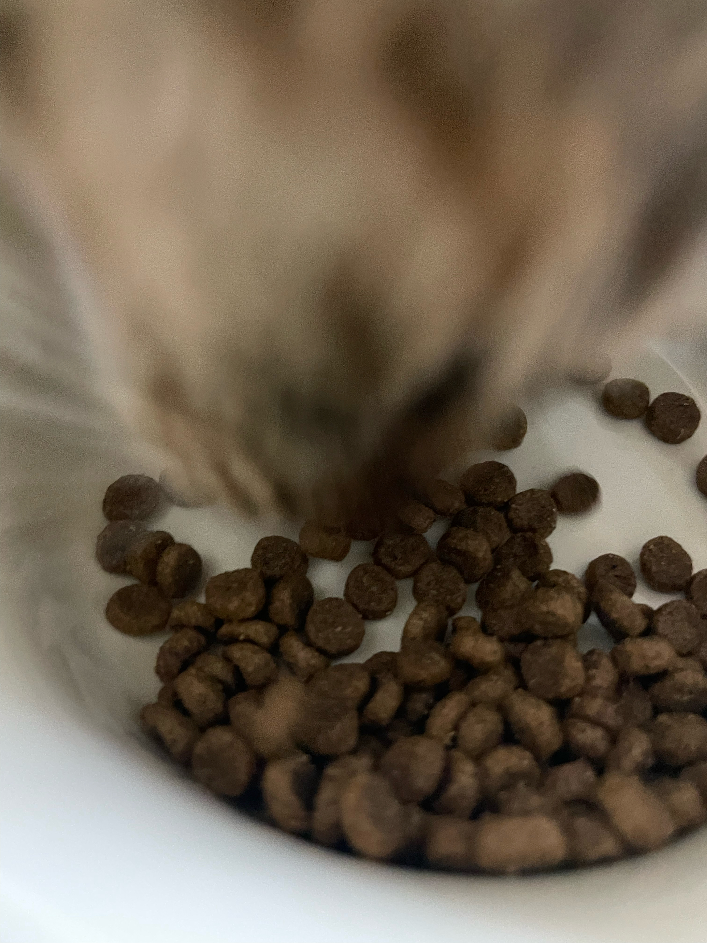 베스트 후기 이미지