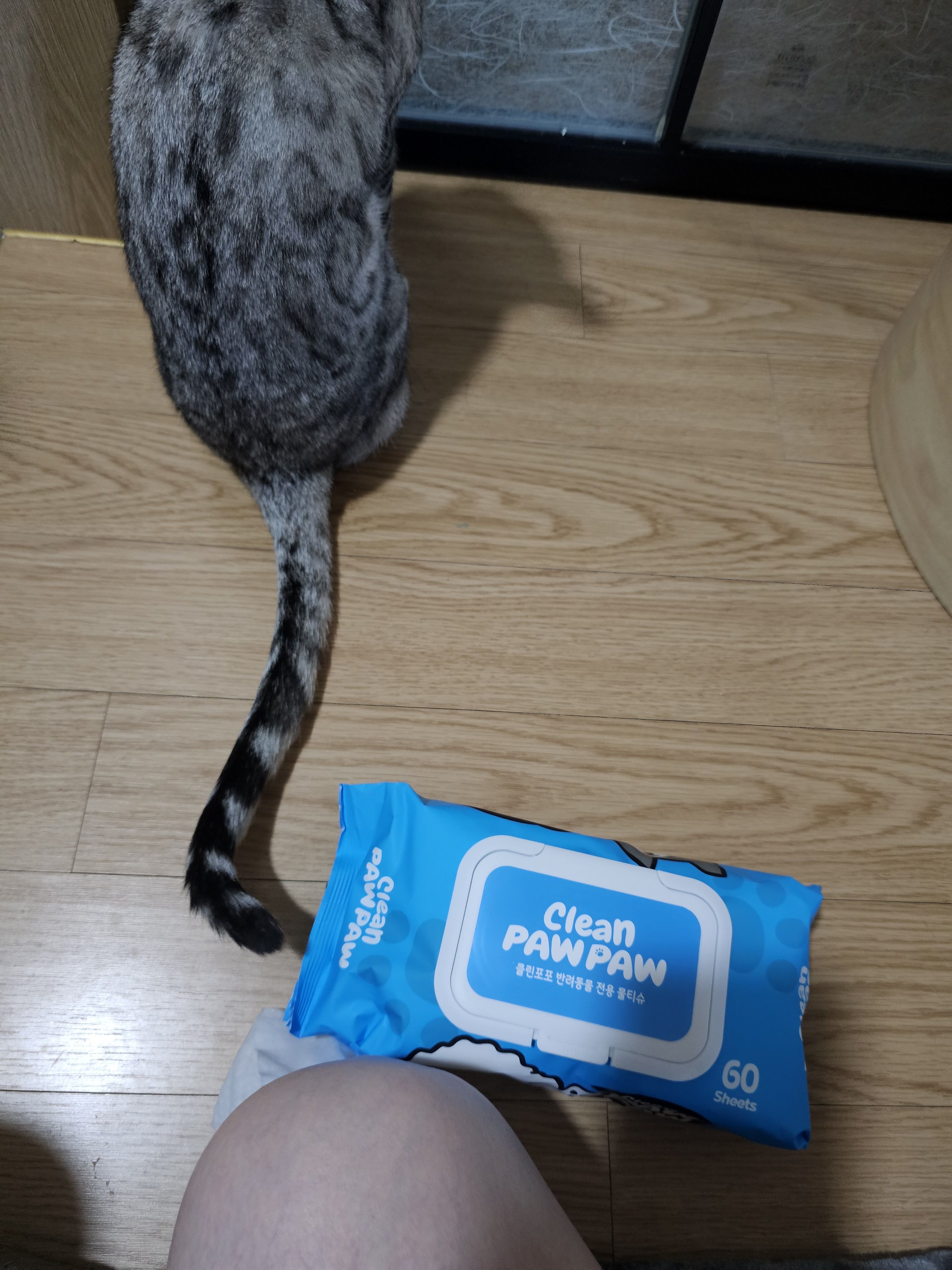 베스트 후기 이미지