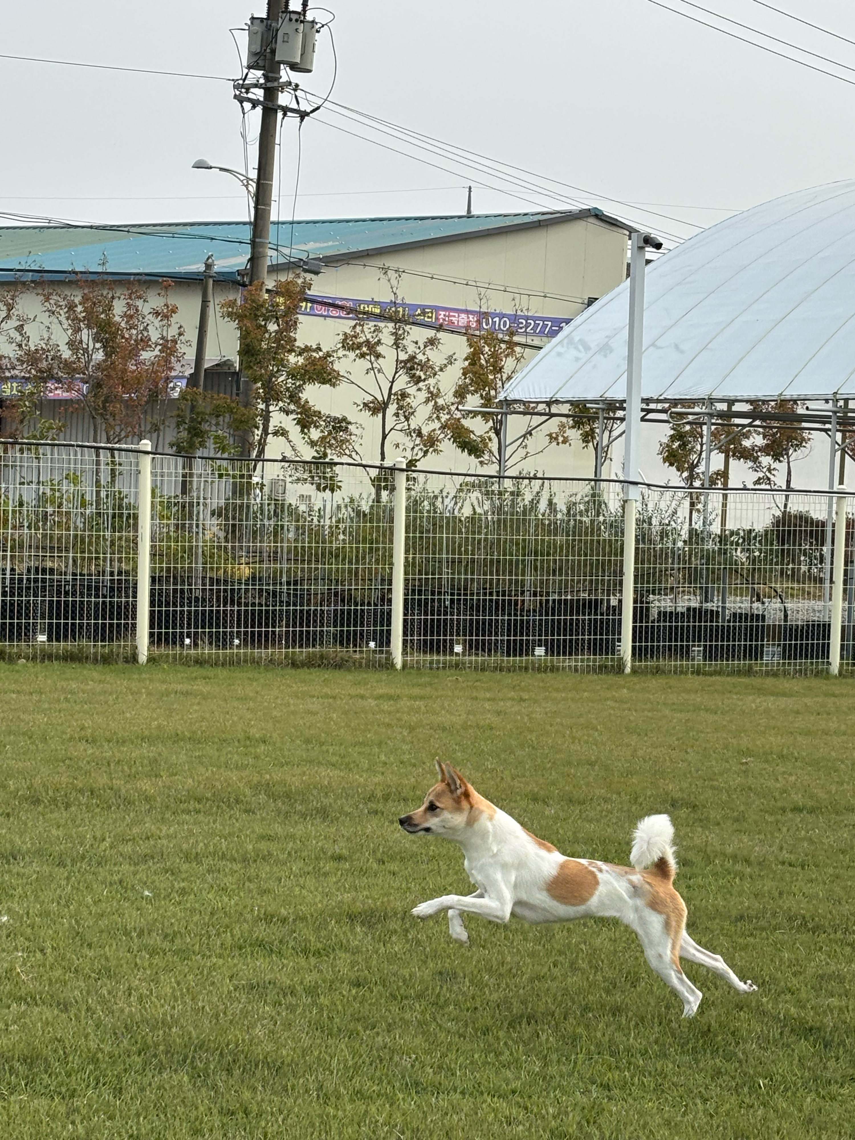 베스트 후기 이미지