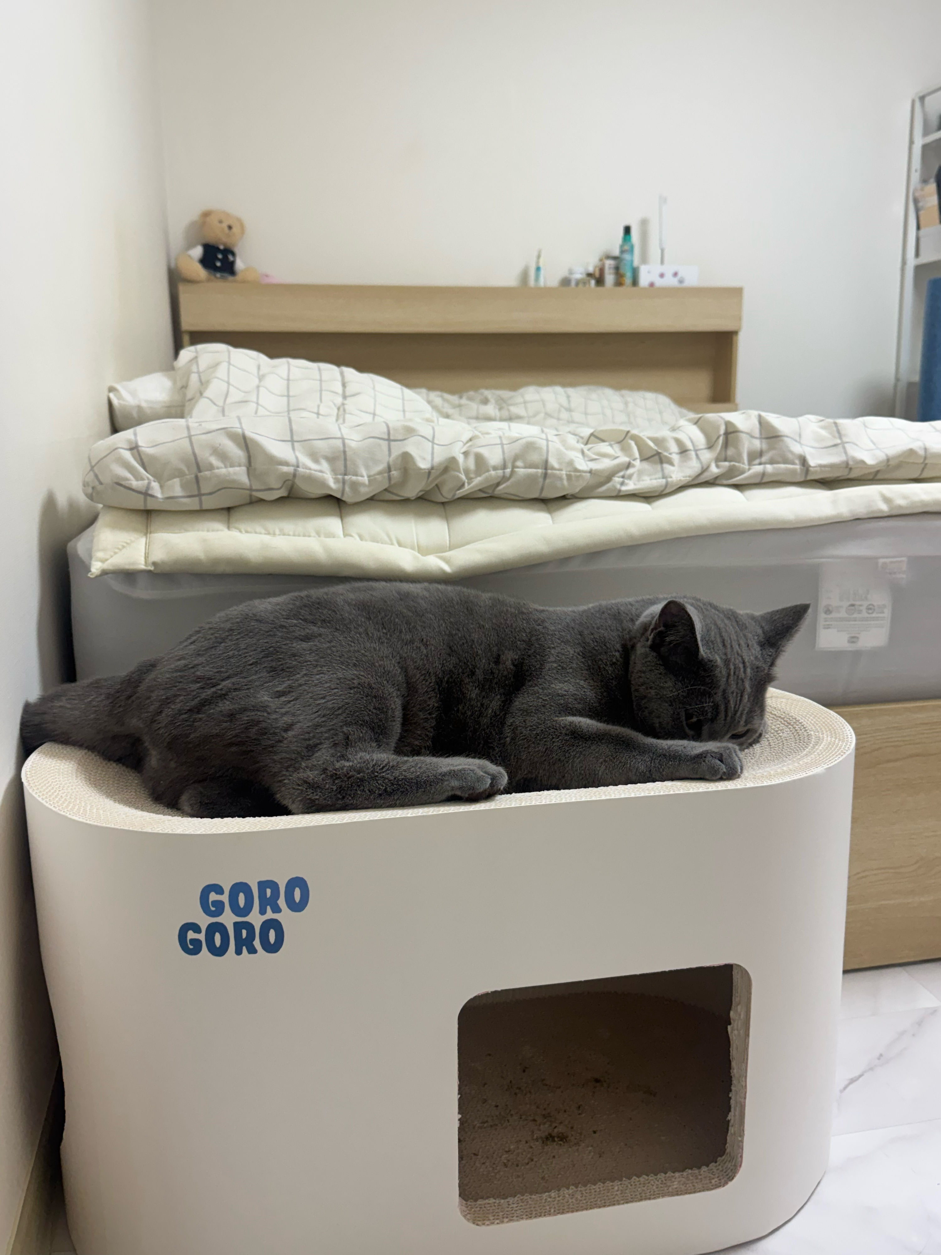 베스트 후기 이미지