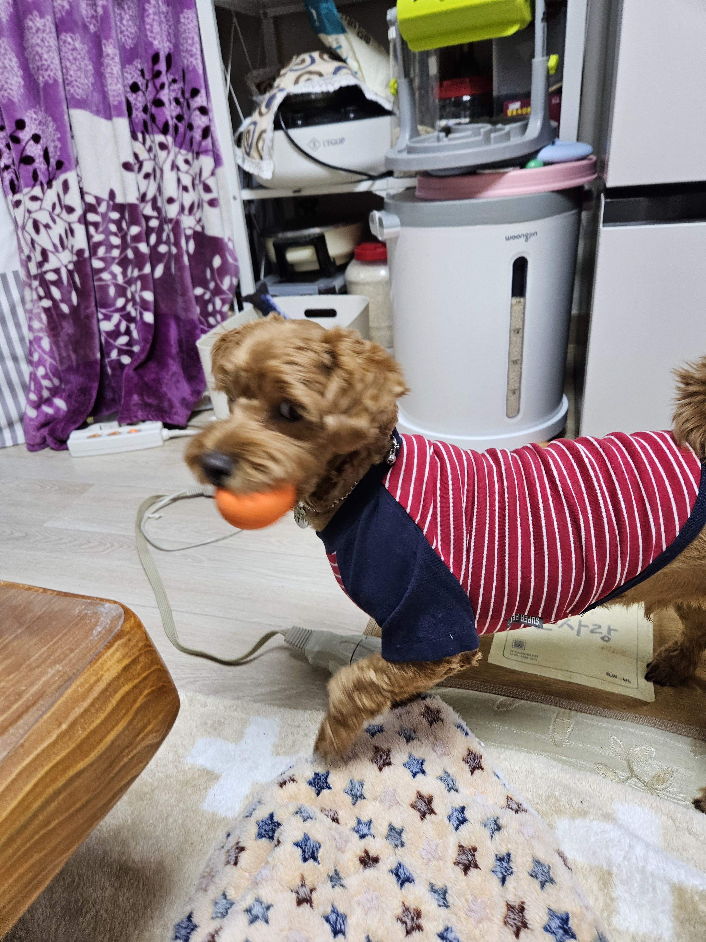 베스트 후기 이미지