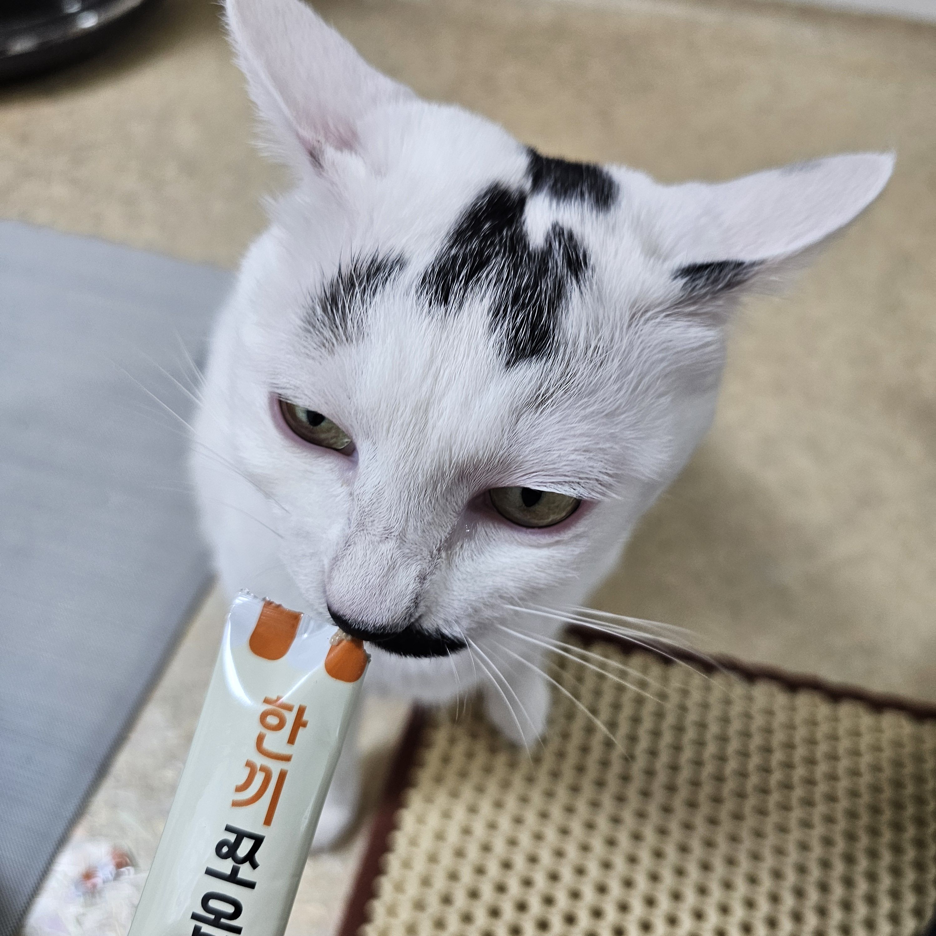 베스트 후기 이미지