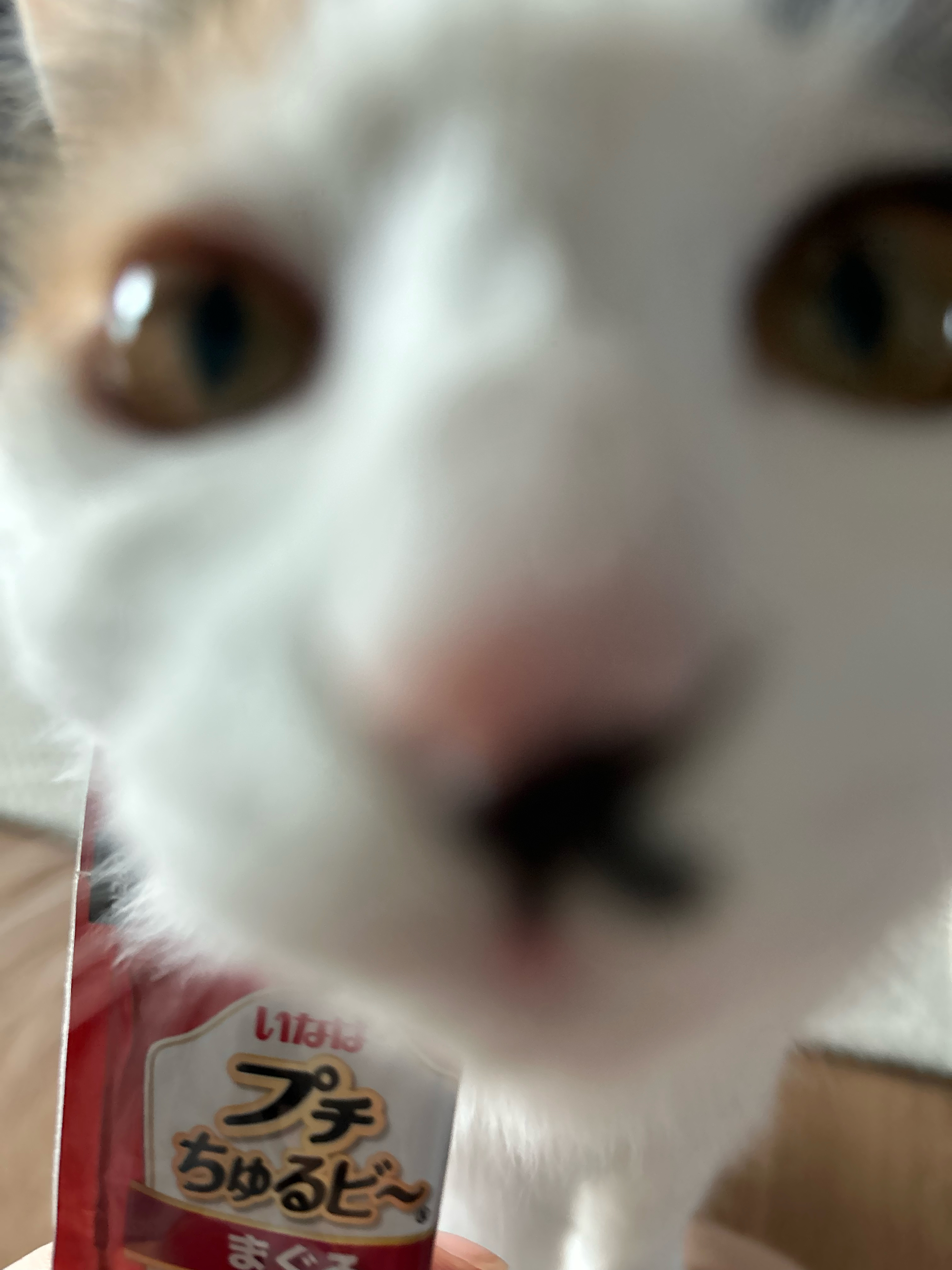 베스트 후기 이미지