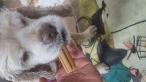 베스트 후기 이미지