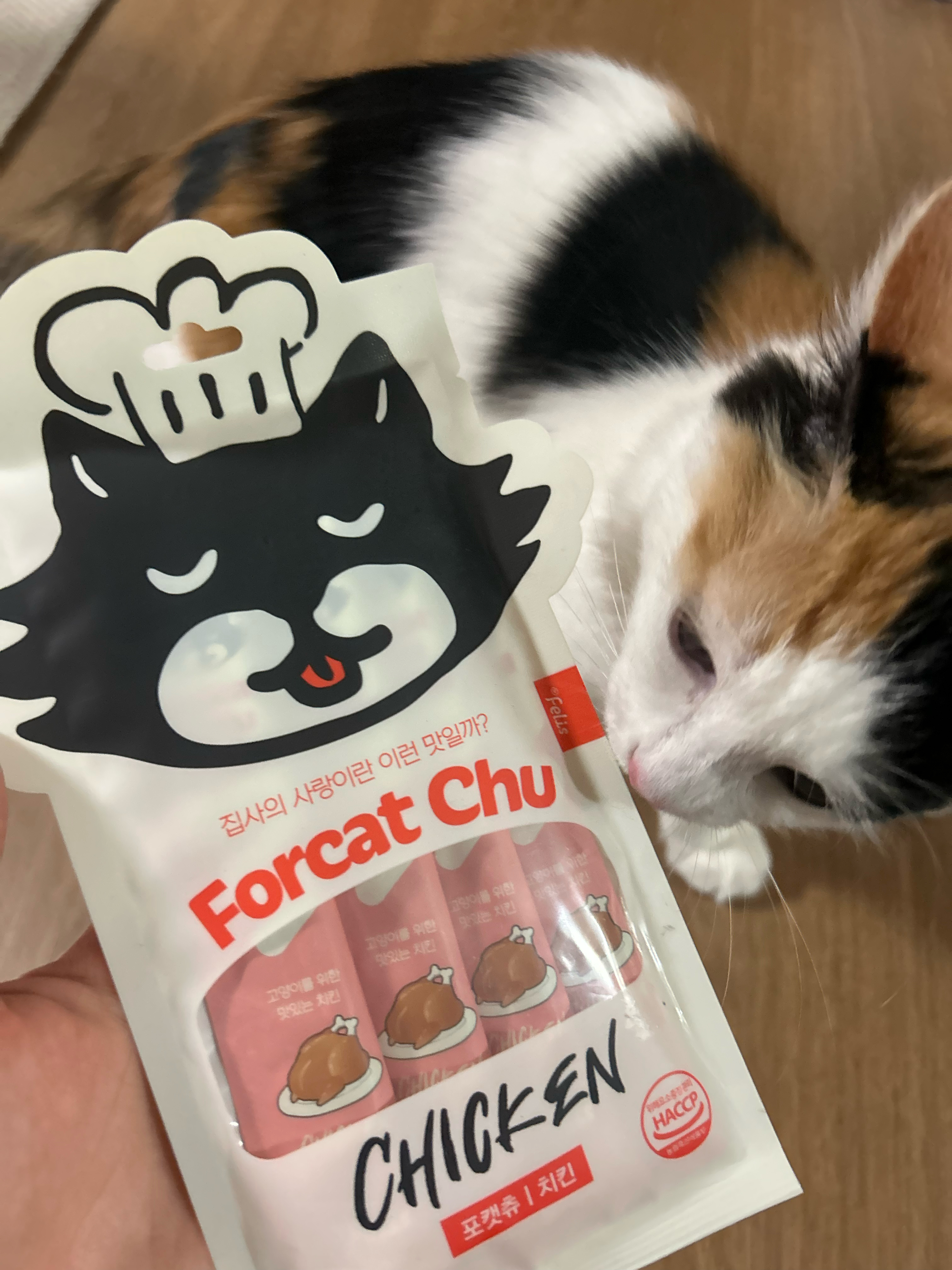 베스트 후기 이미지