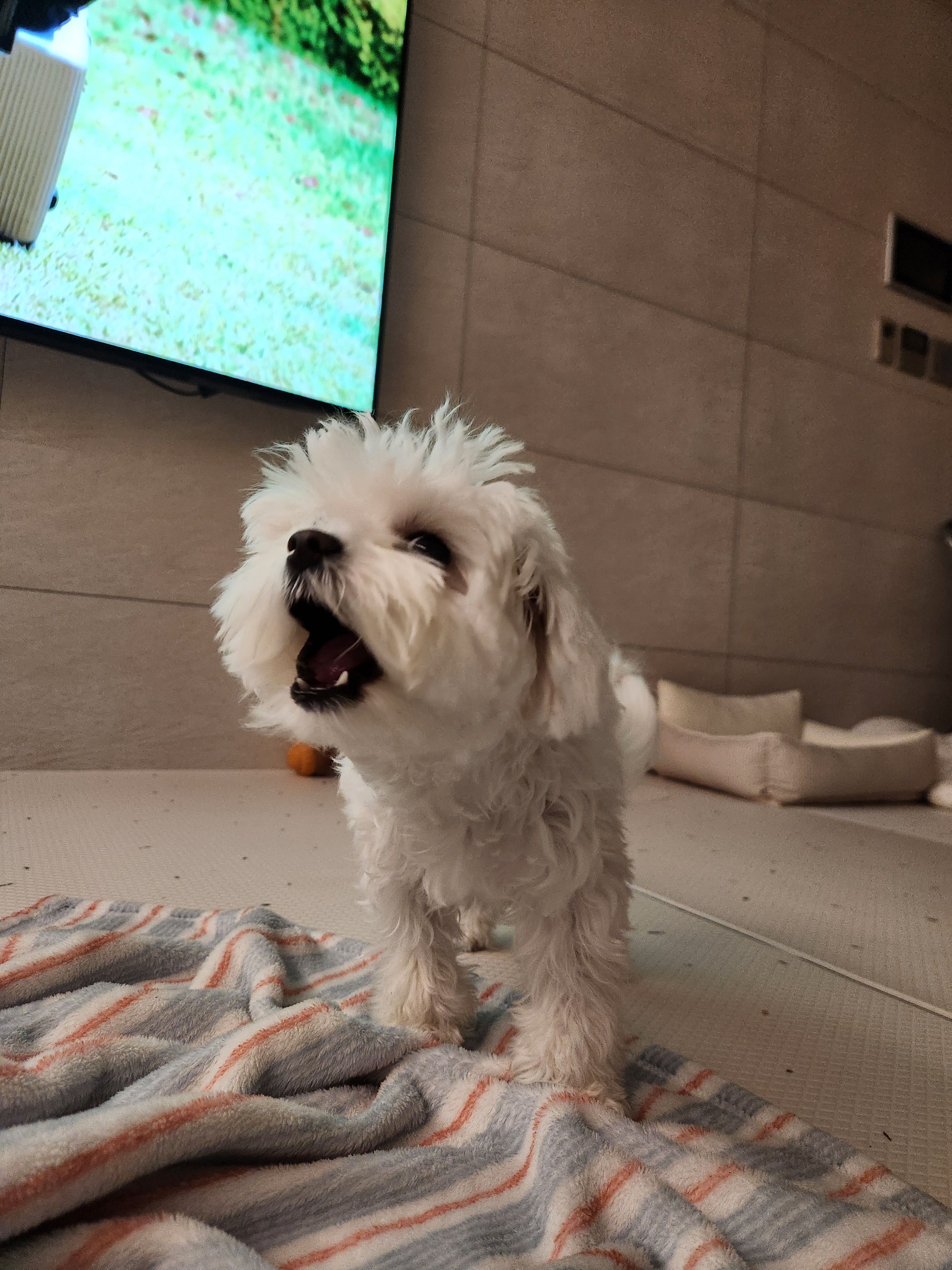 베스트 후기 이미지